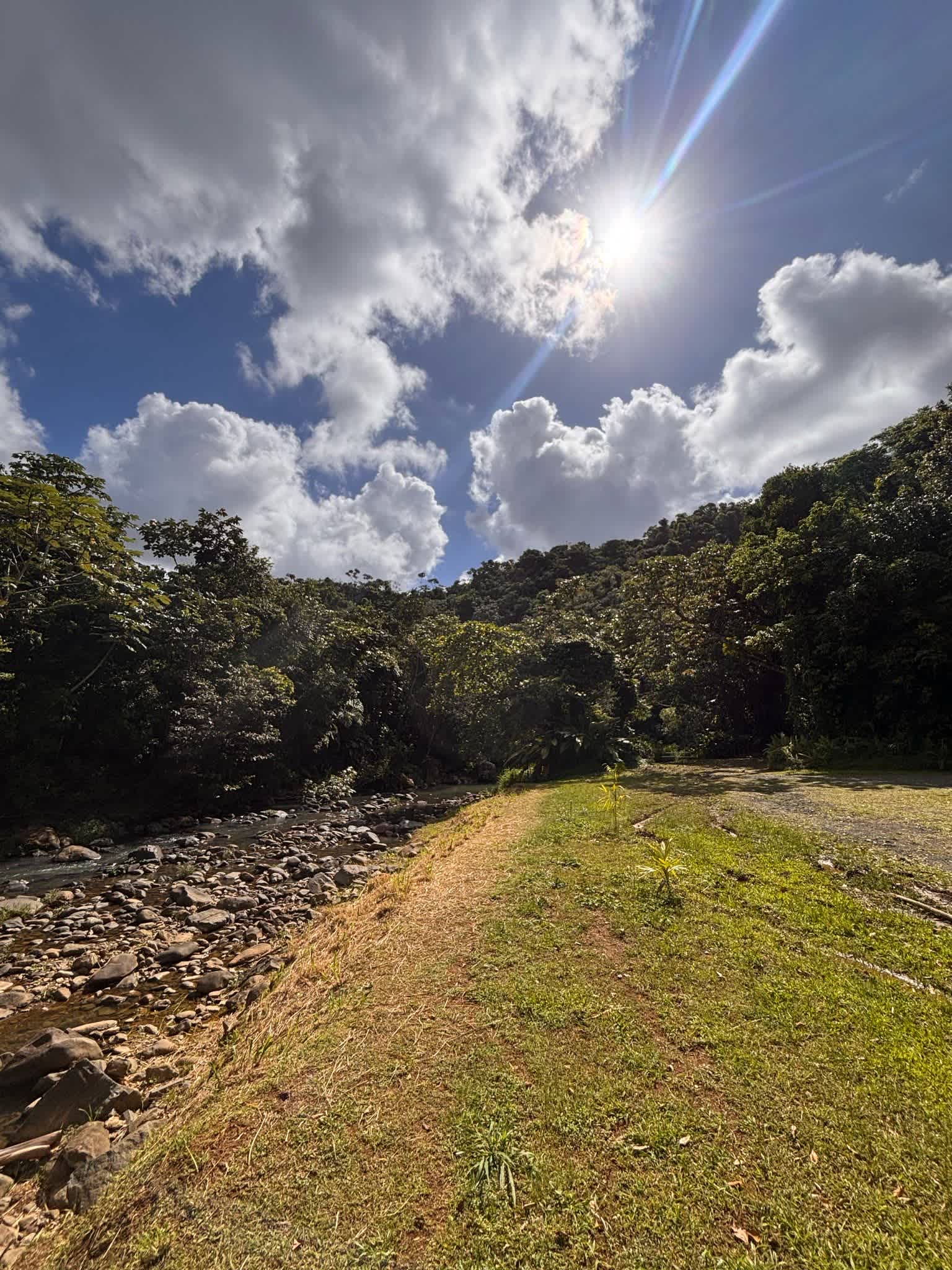 Hacienda Monte Rey near El Yunque