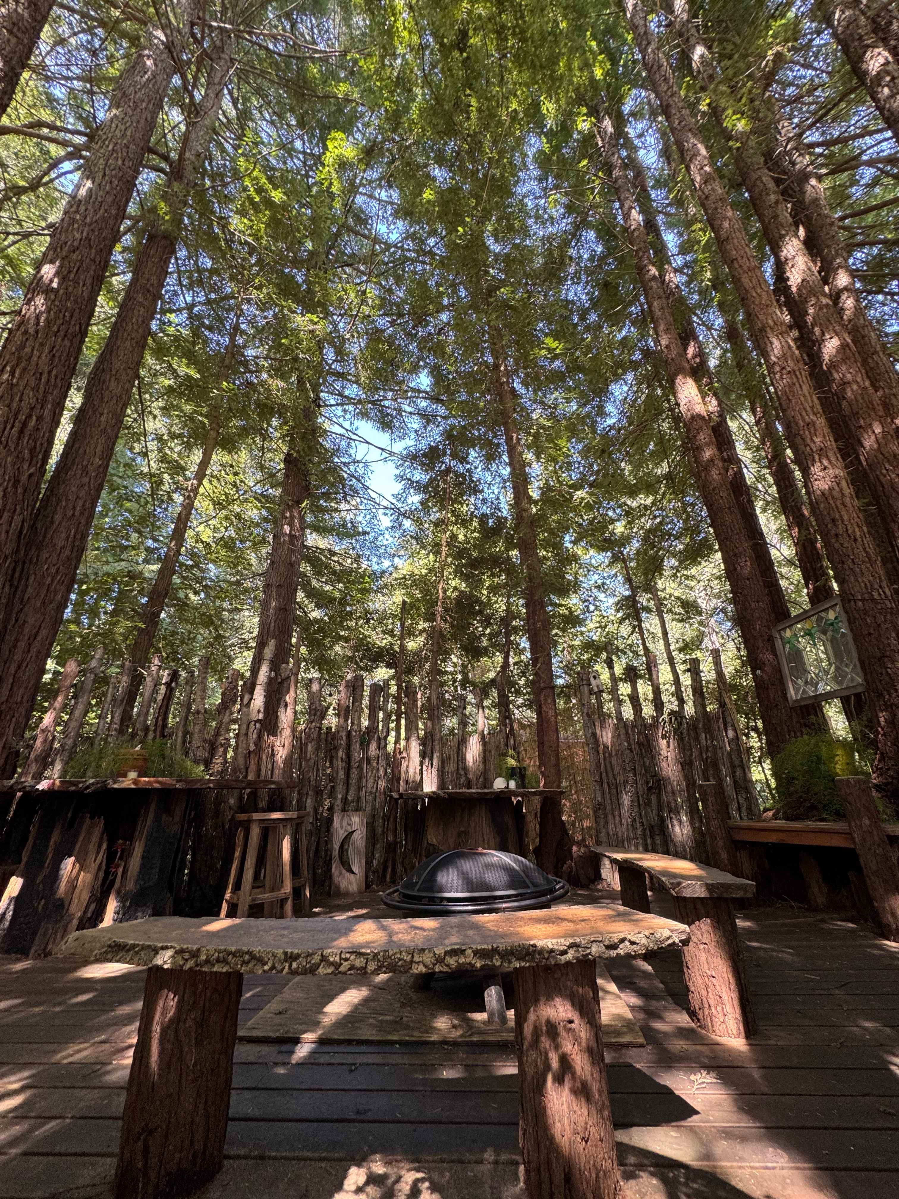 Moon Bear Lodge