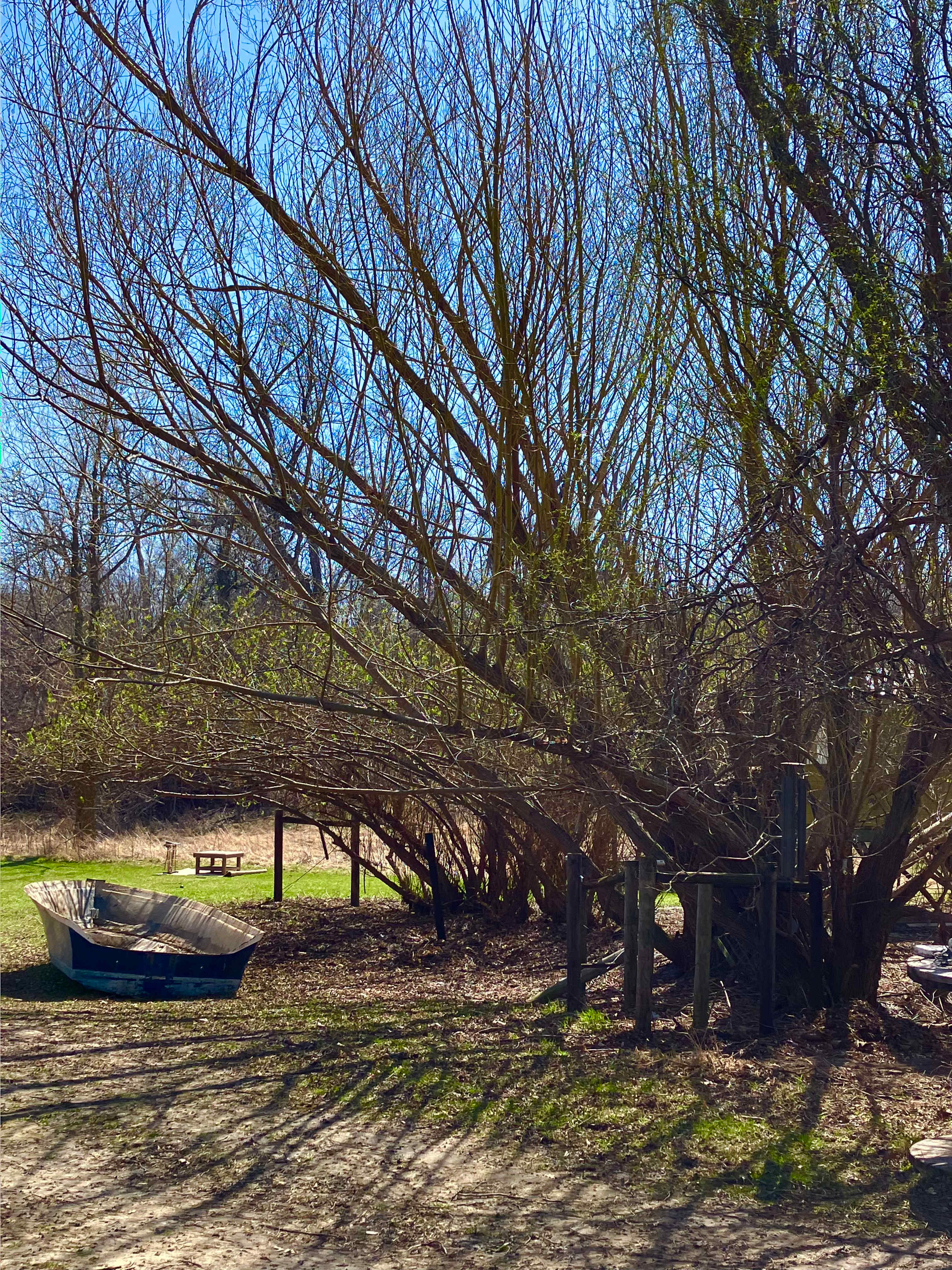 Windy Goat Acres