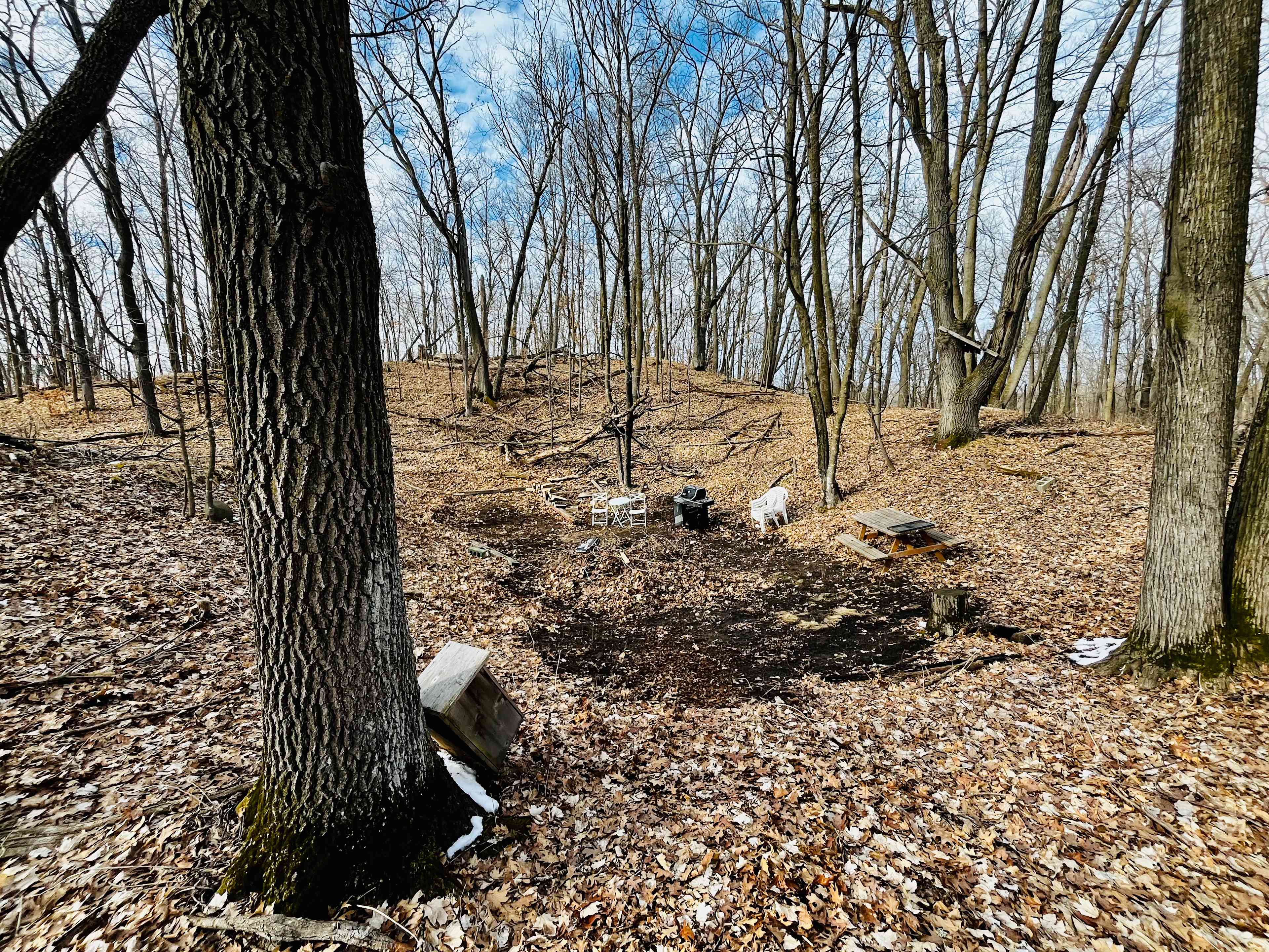 Deer haven