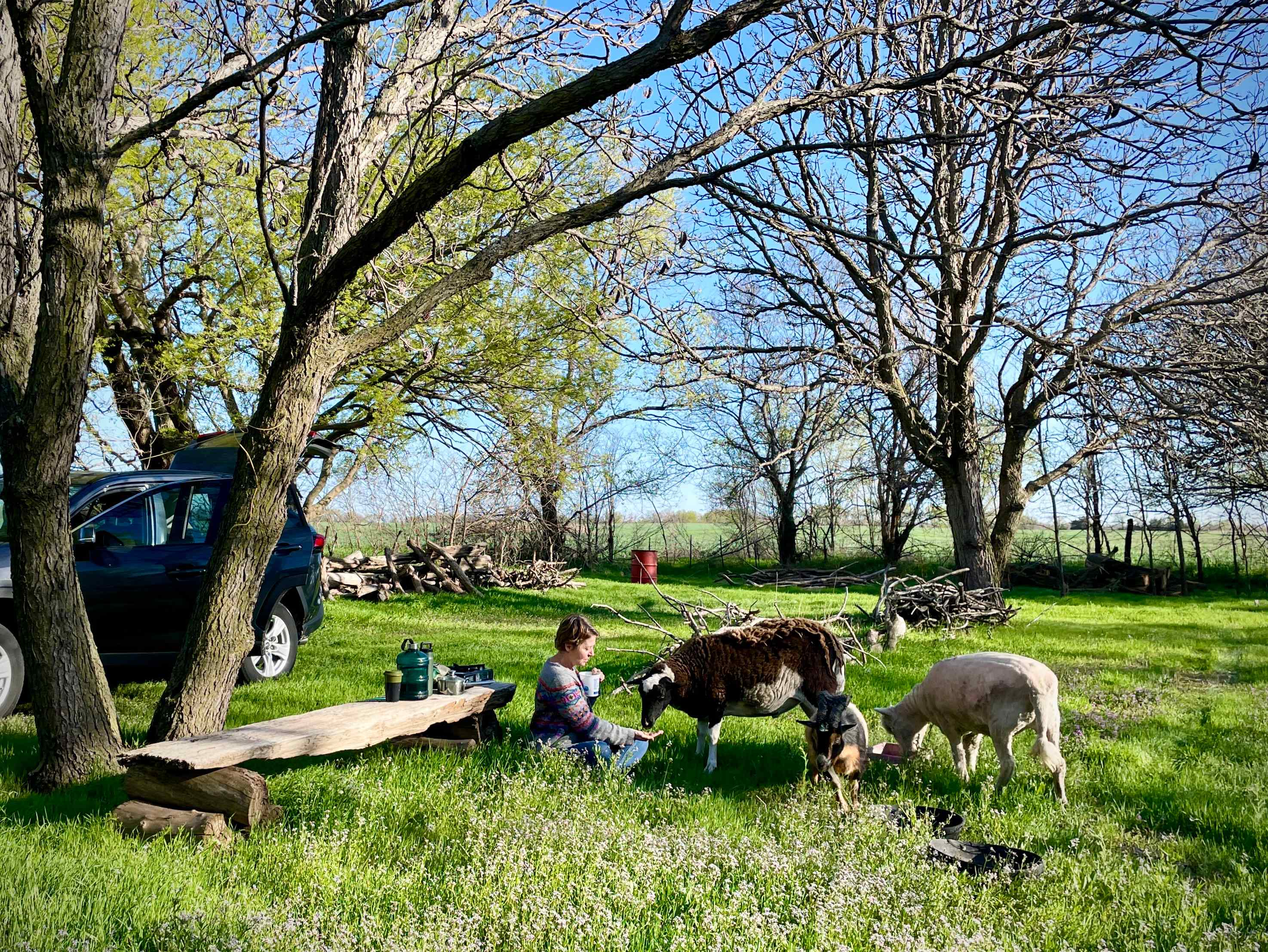 Our Little Grove