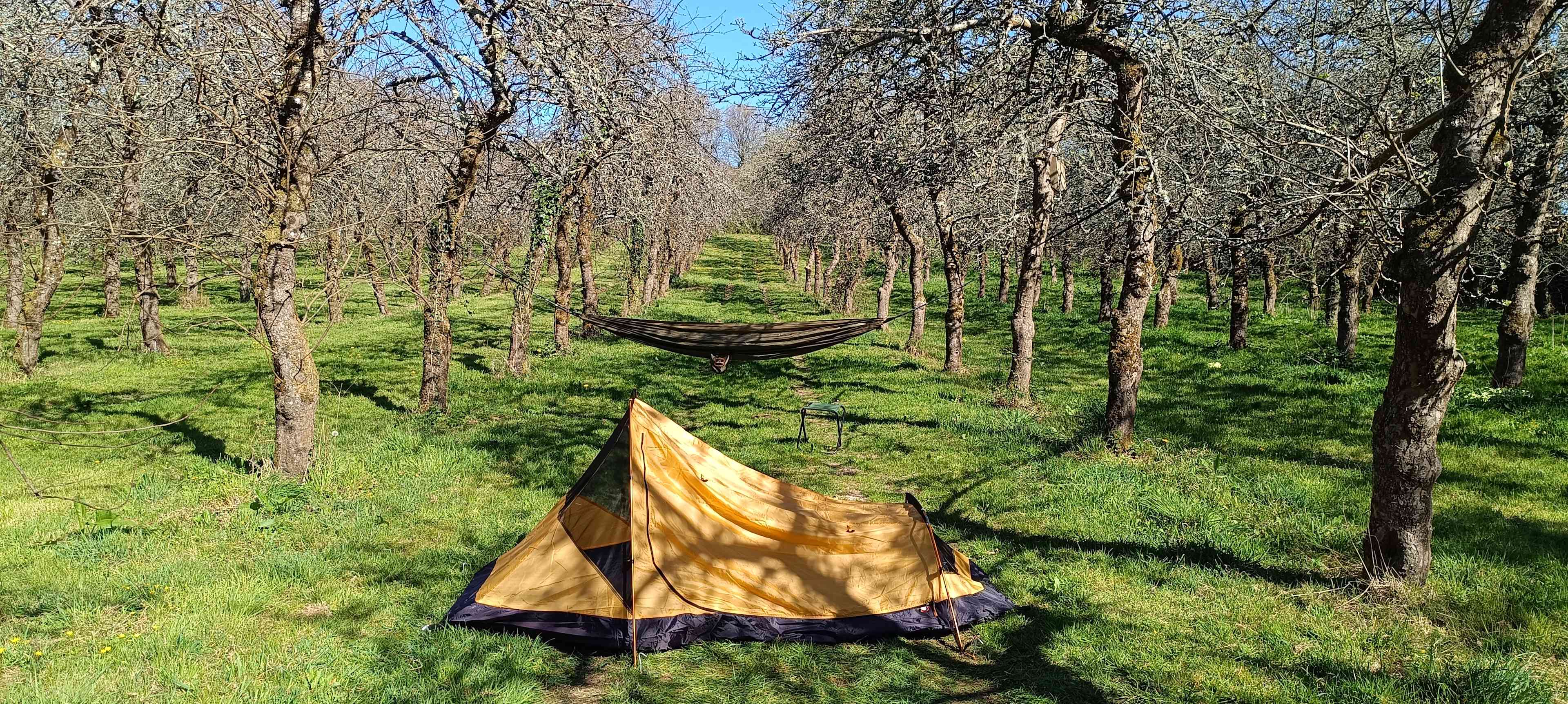Cider Farm Orchard Campsite