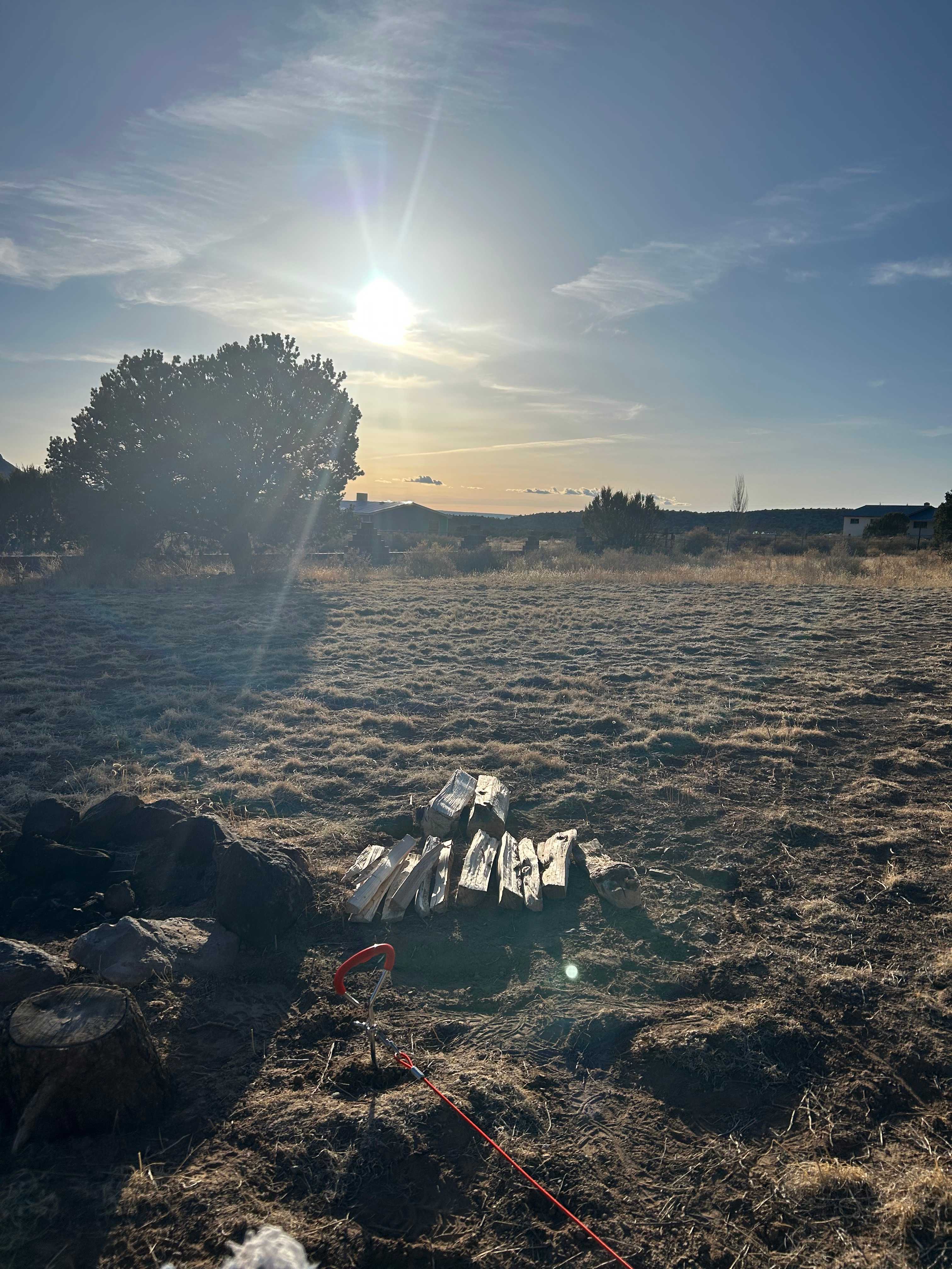 Lobo Canyon Mountain View Camping