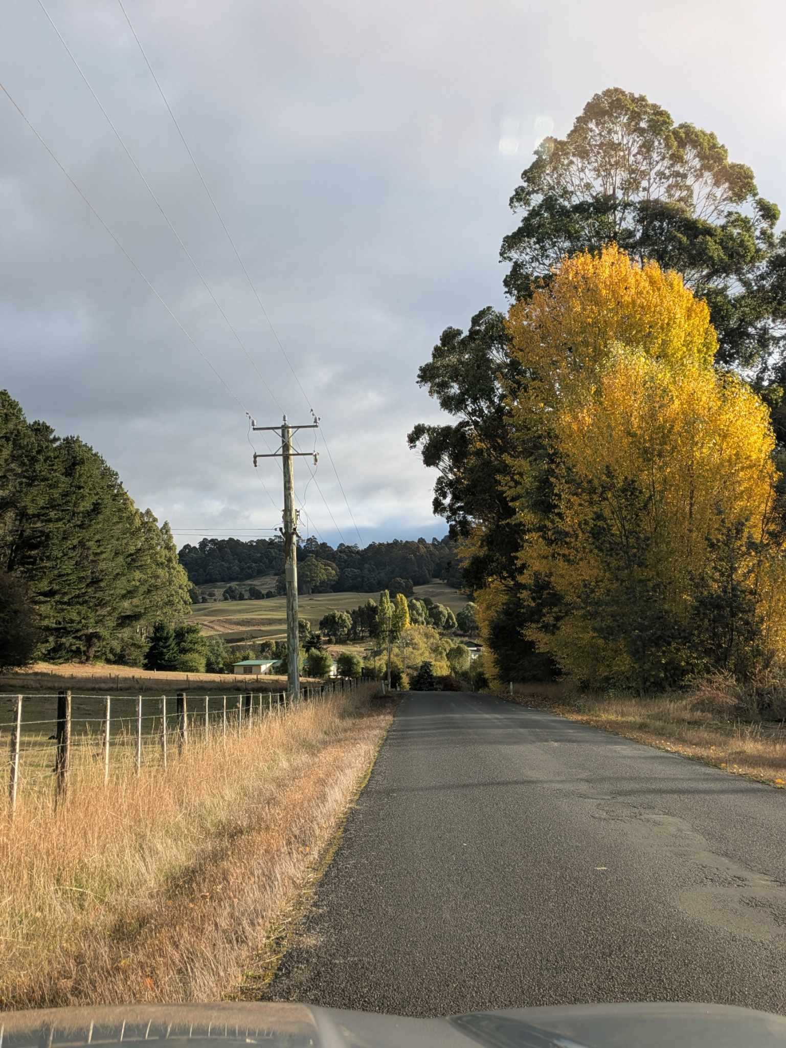 Autumn colours are amazing.