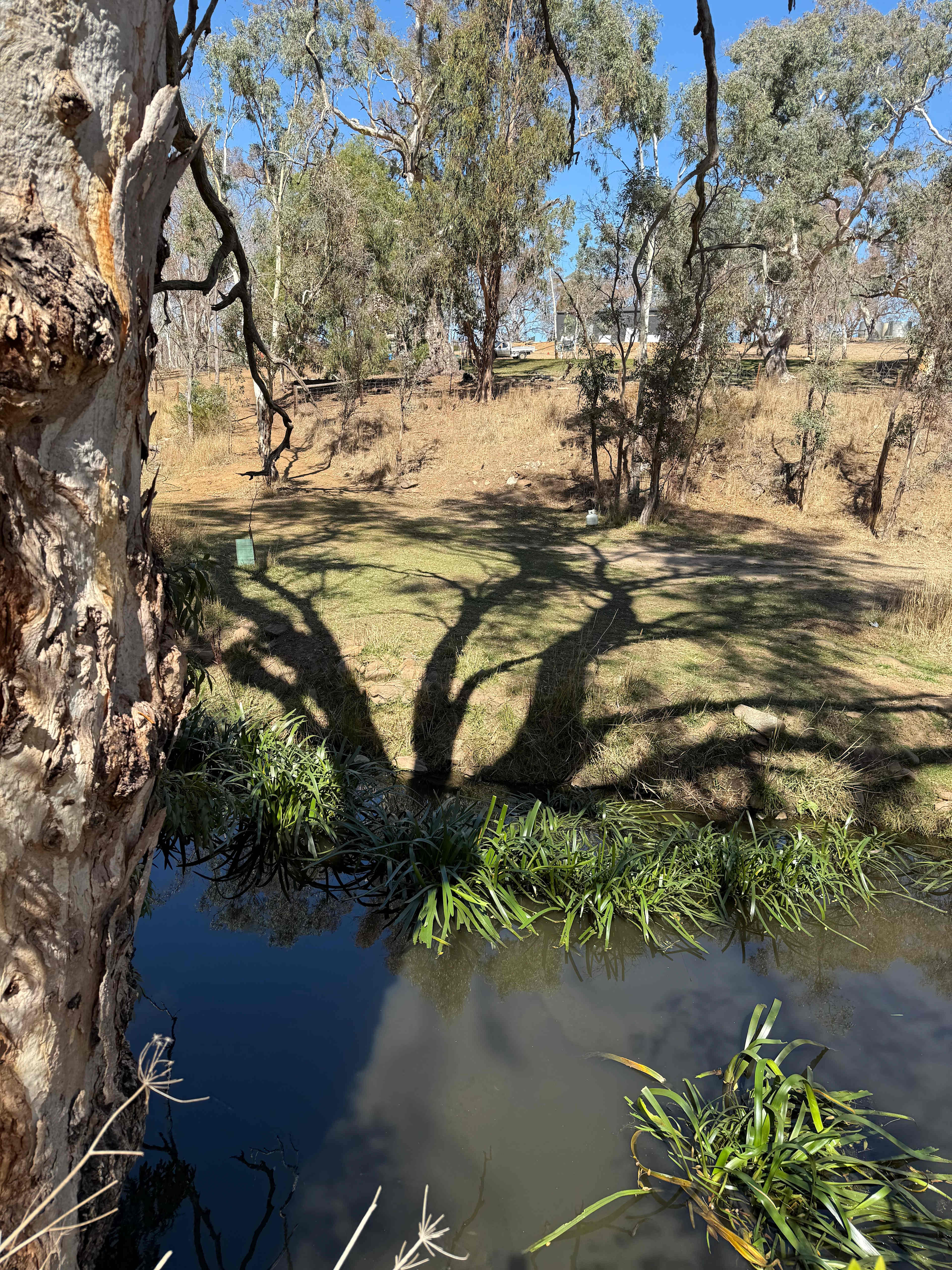 Sunset Rocks Farmstay
