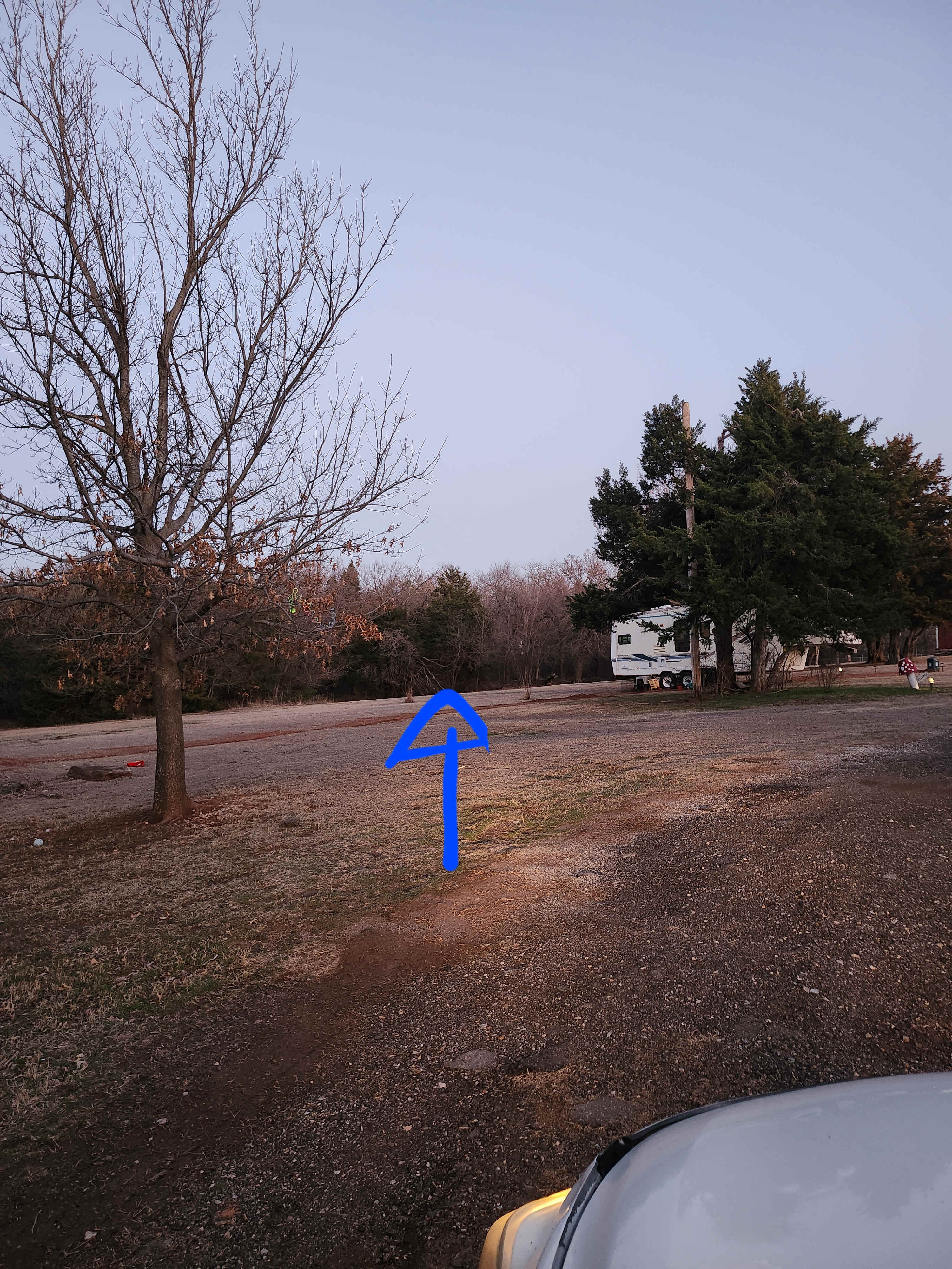 2 Rv Spots @ Jenna's place