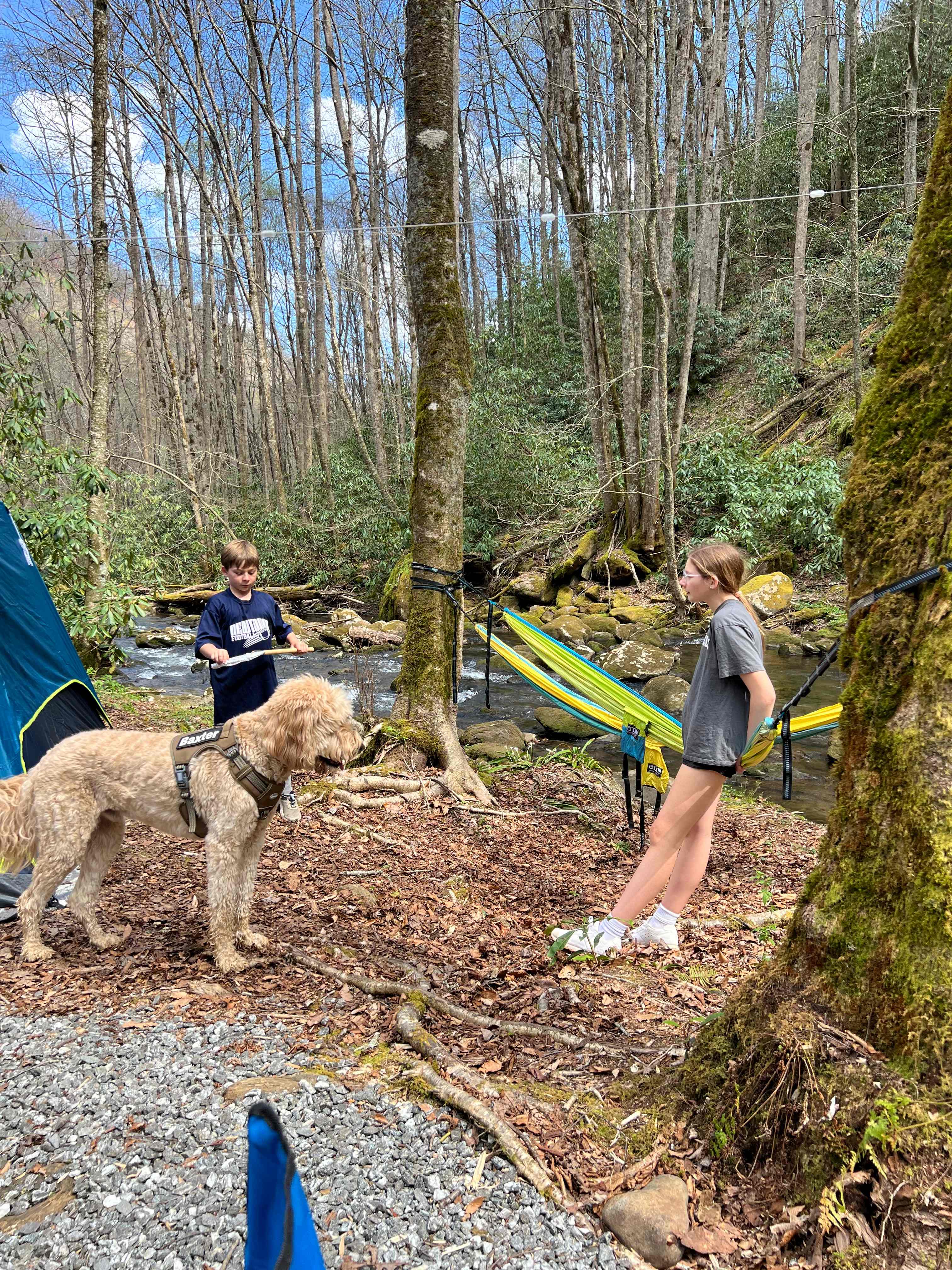 Mountain Creek Rest