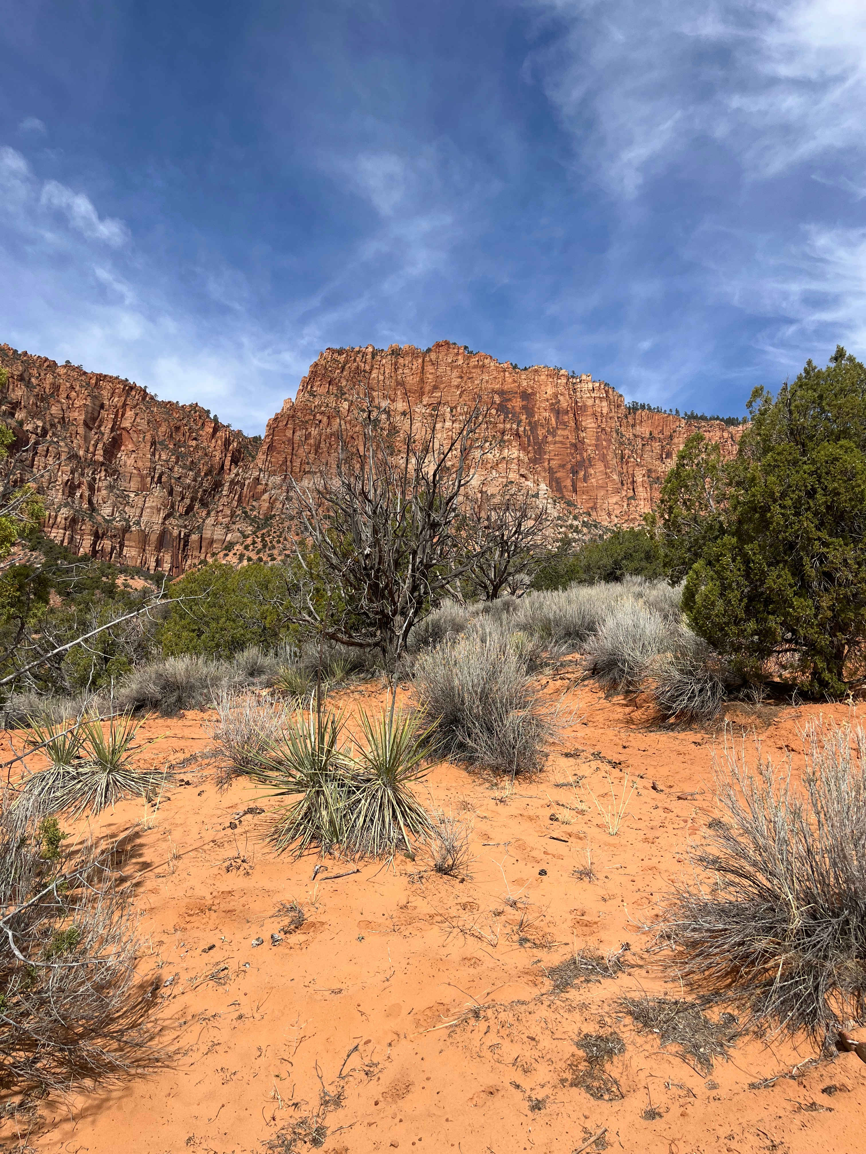 Water Canyon Campground and Resort