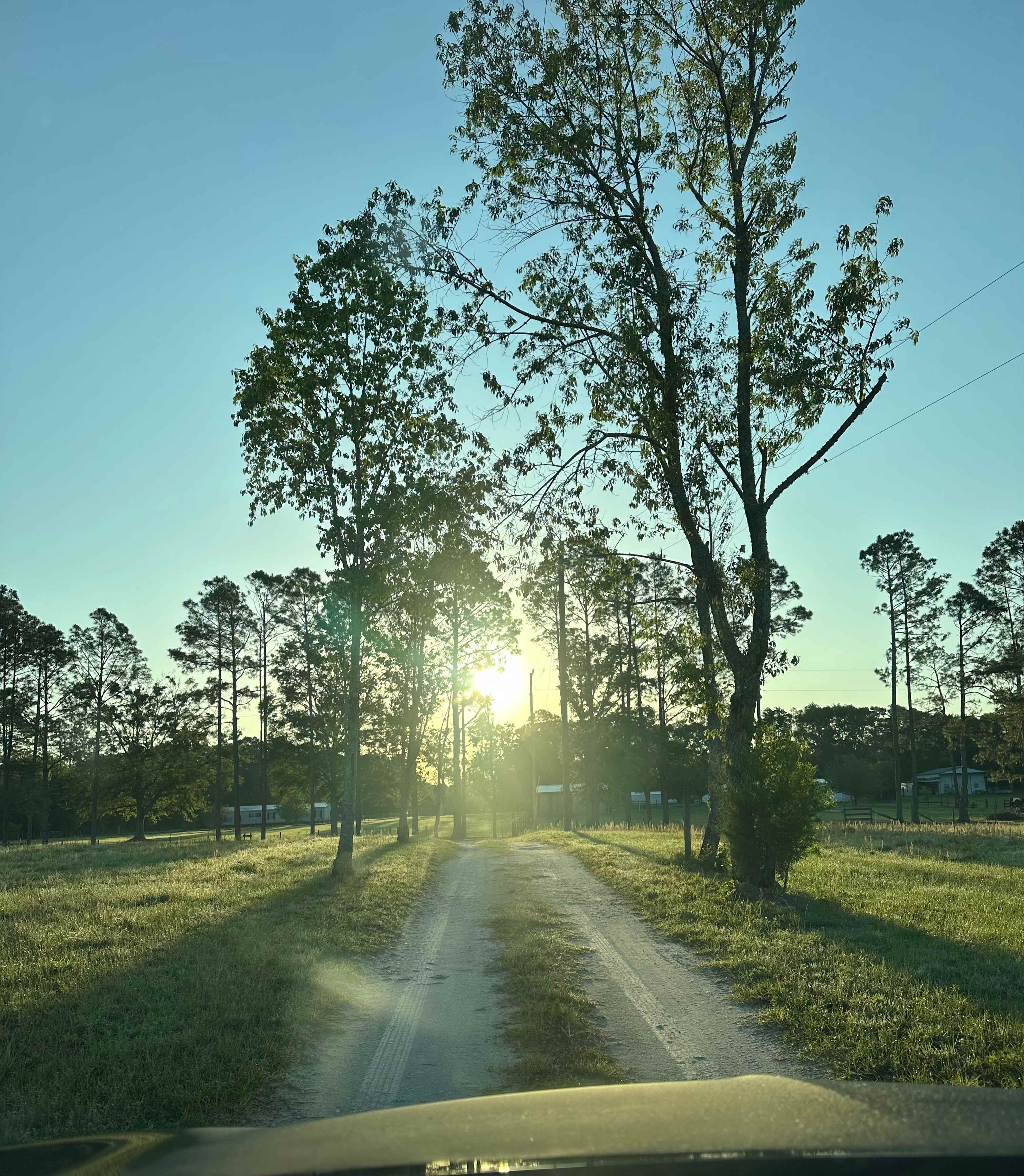 Driveway from the camp