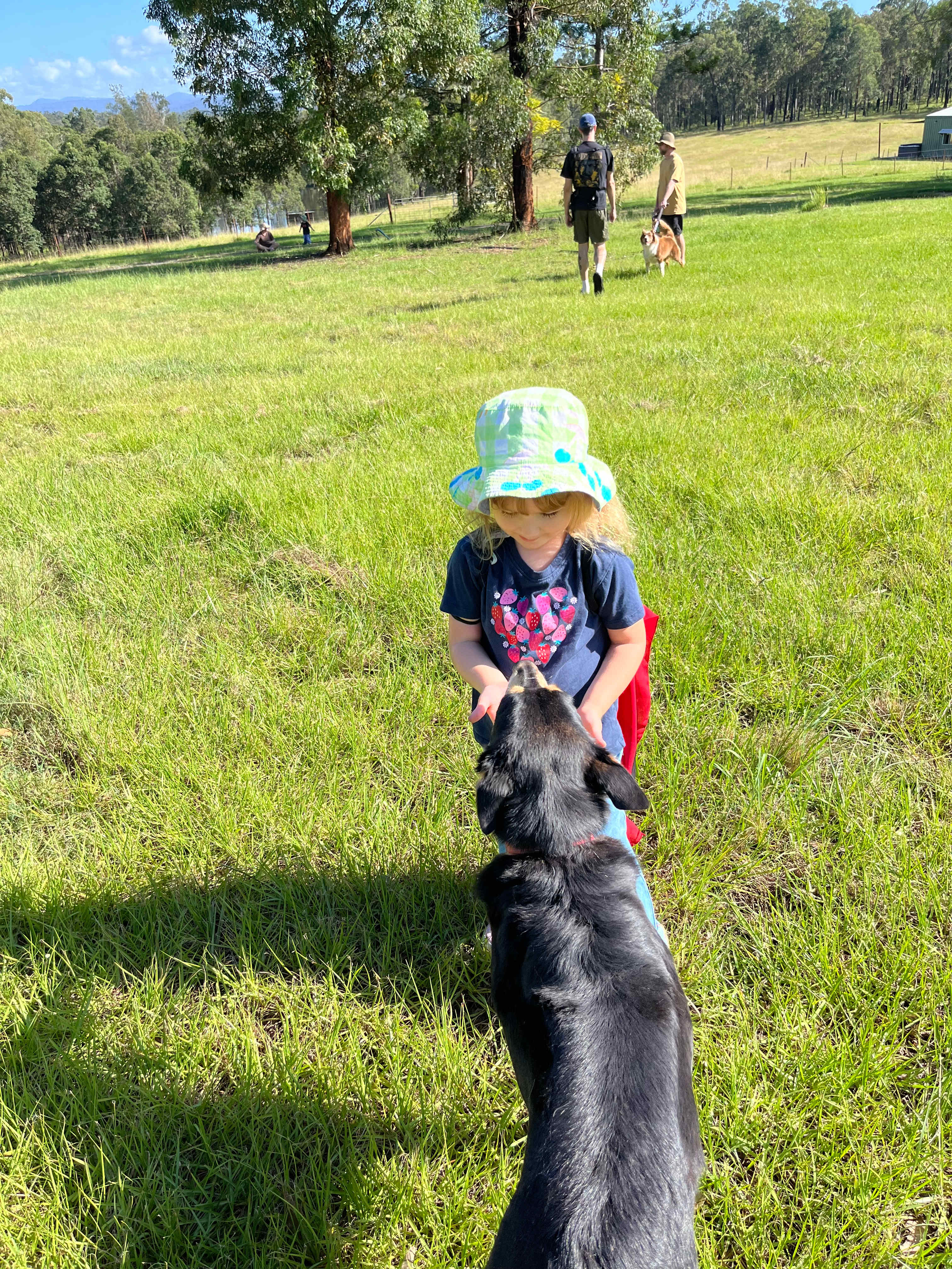 All Up Speckle Park Farm Stay.
