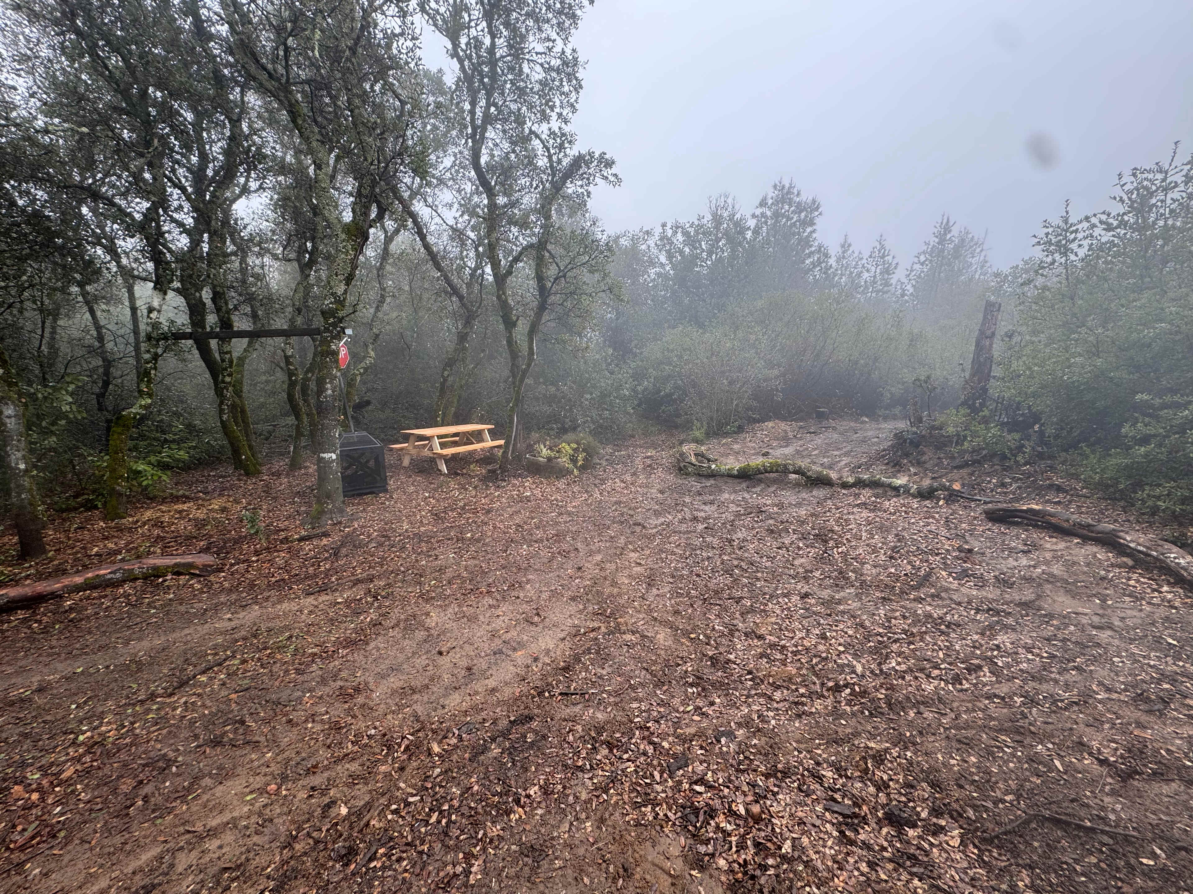 Camp Rewilding