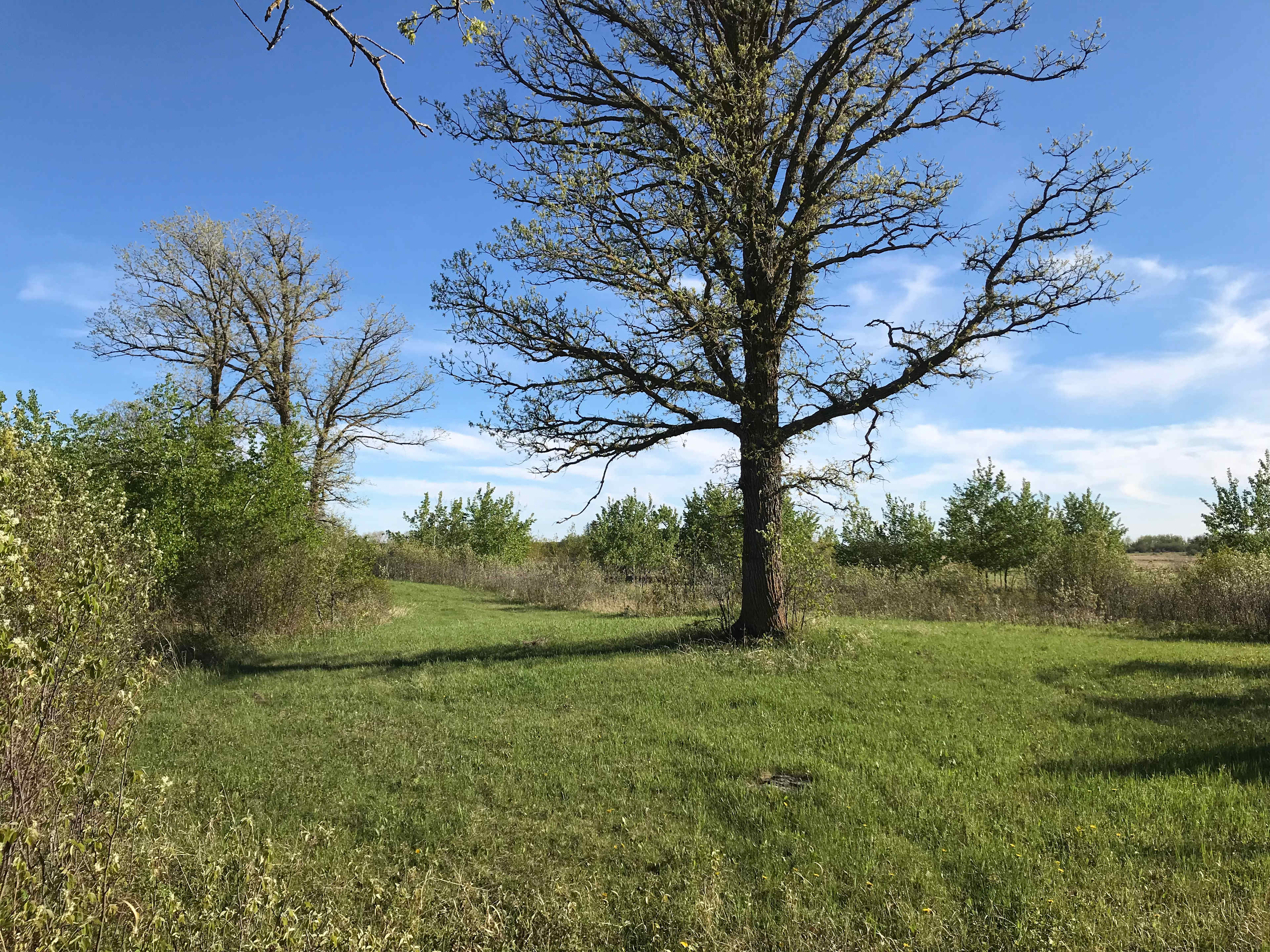 Ásalda historic site: Riverton