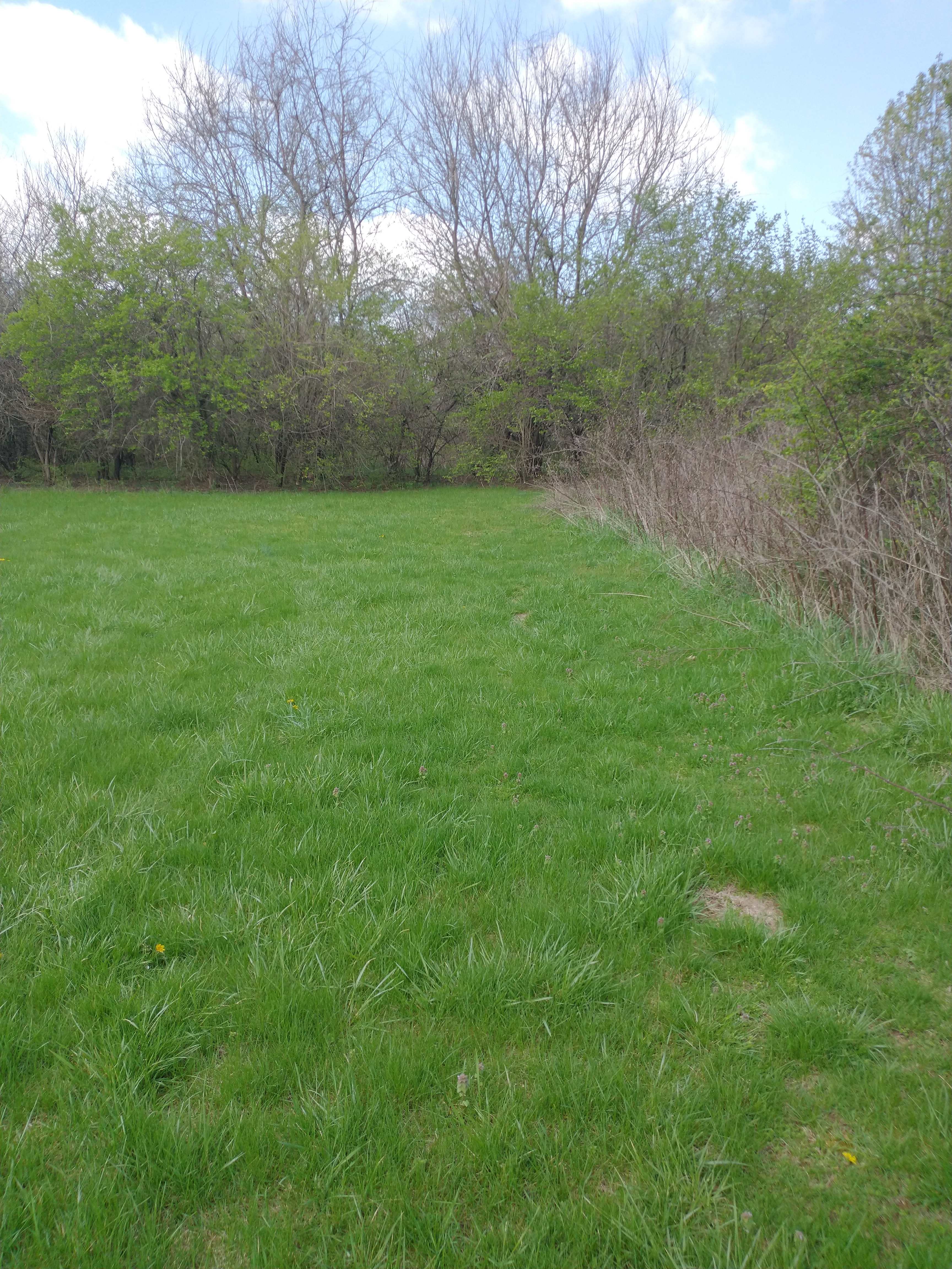 Arnold Acres