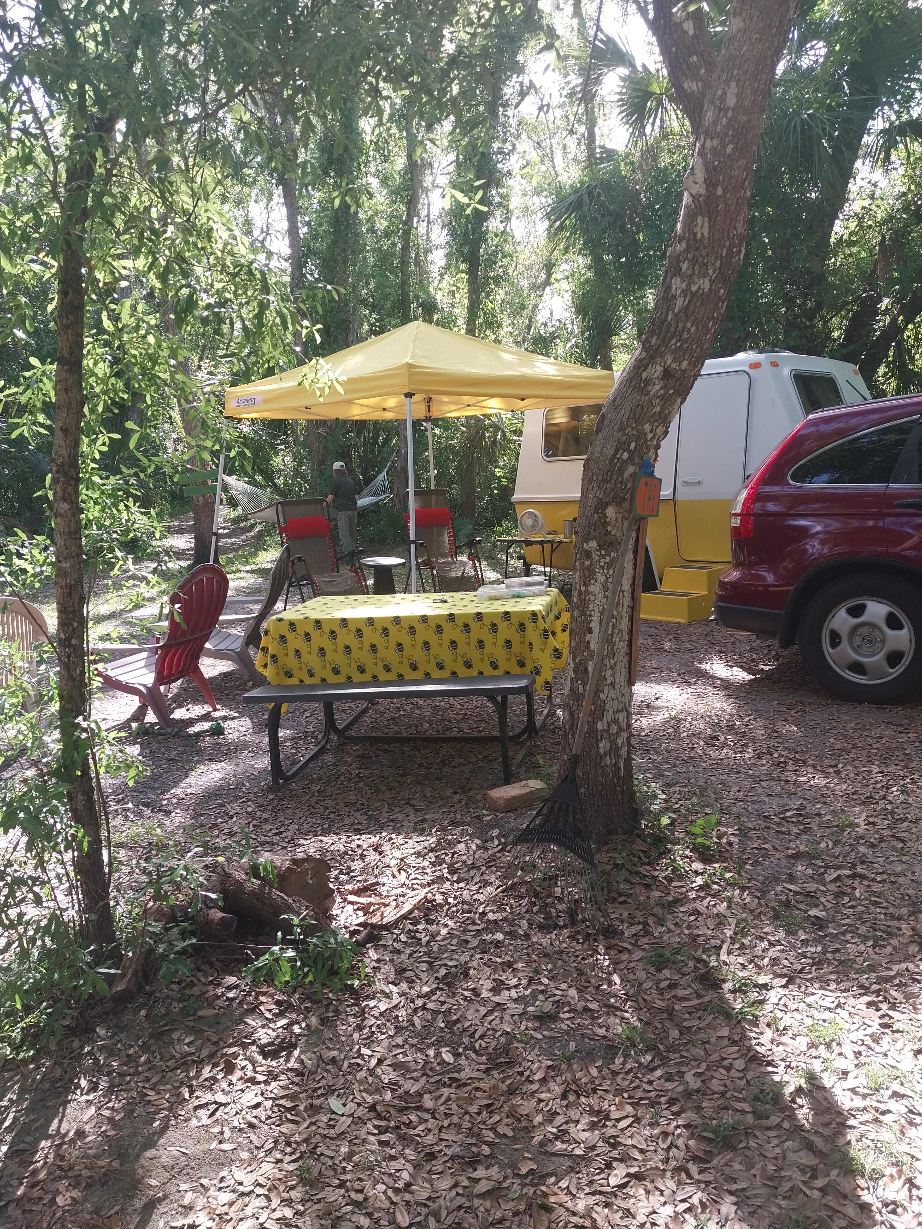 Very private and roomy campsite