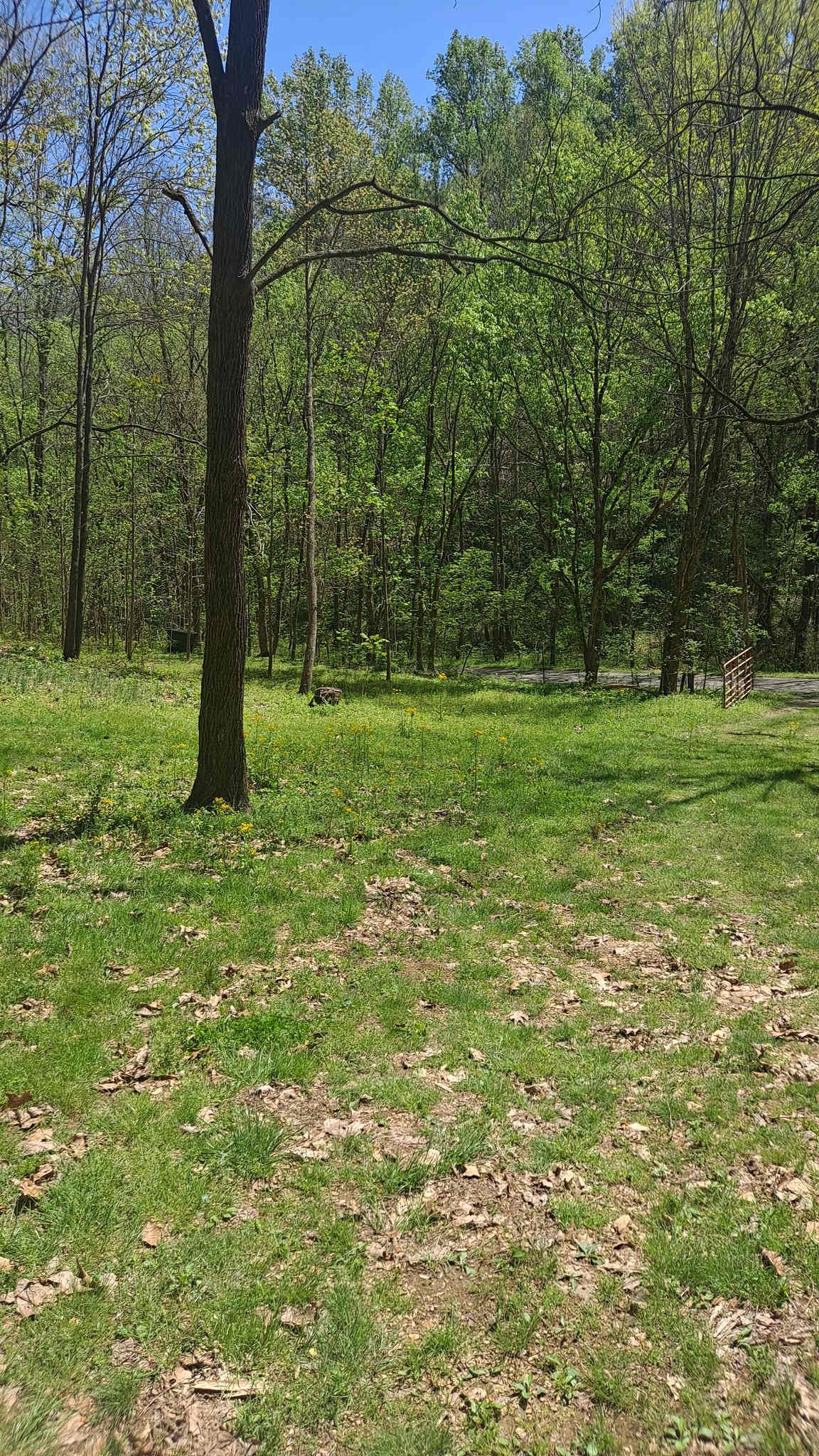 York Hollow