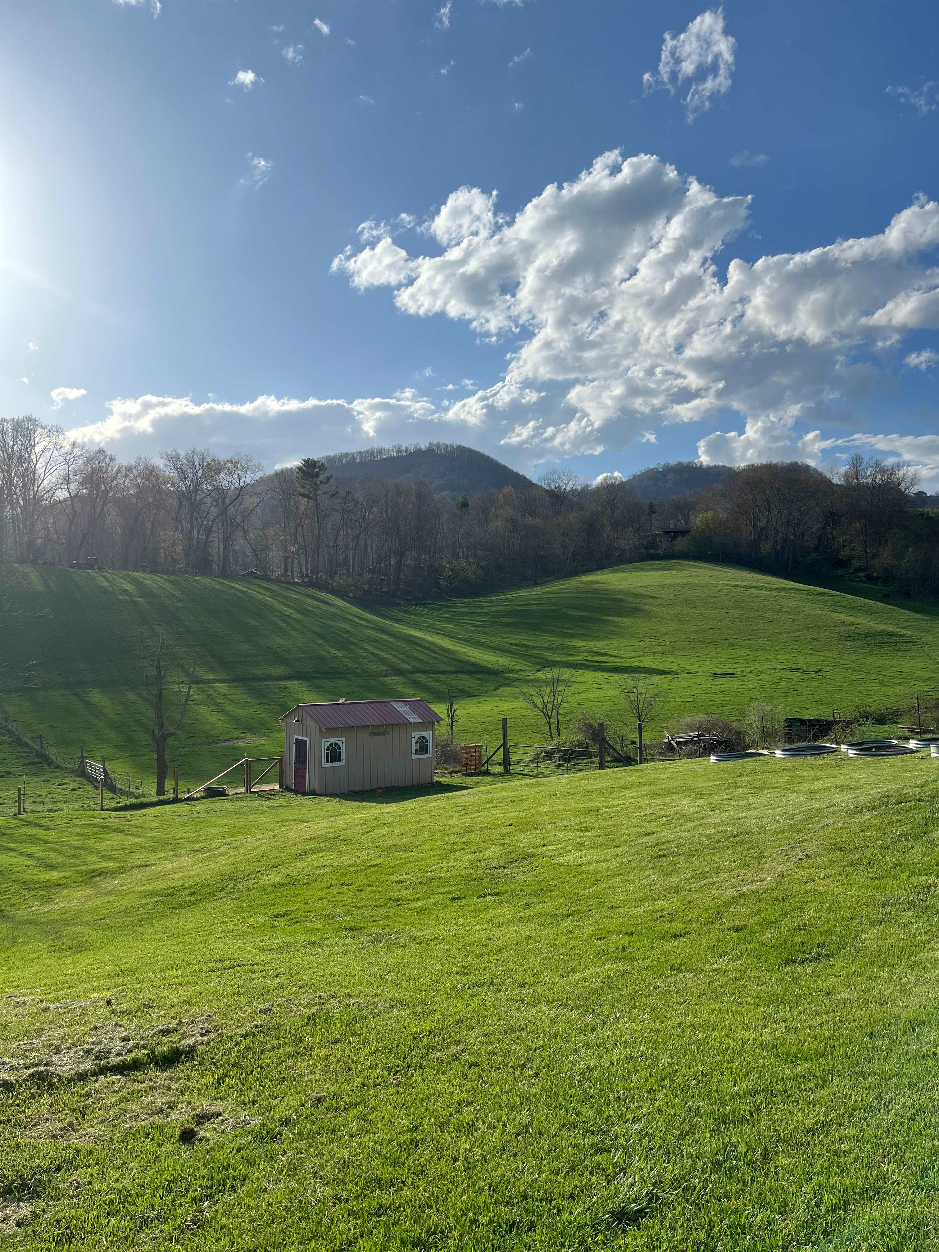 Rock Cottage Farm