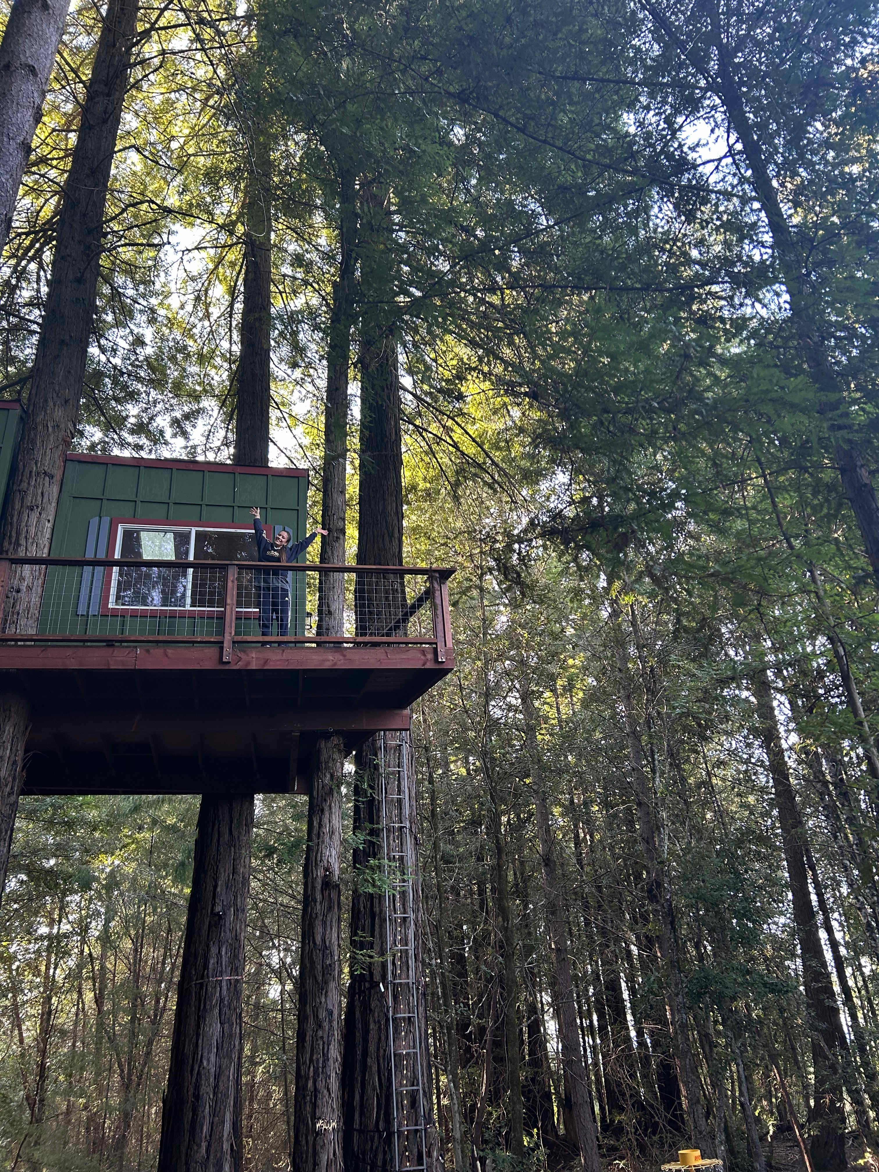 Moon Bear Lodge