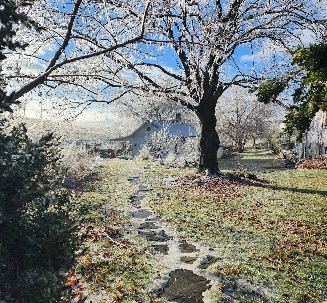 The spring house at Thistle Hollow