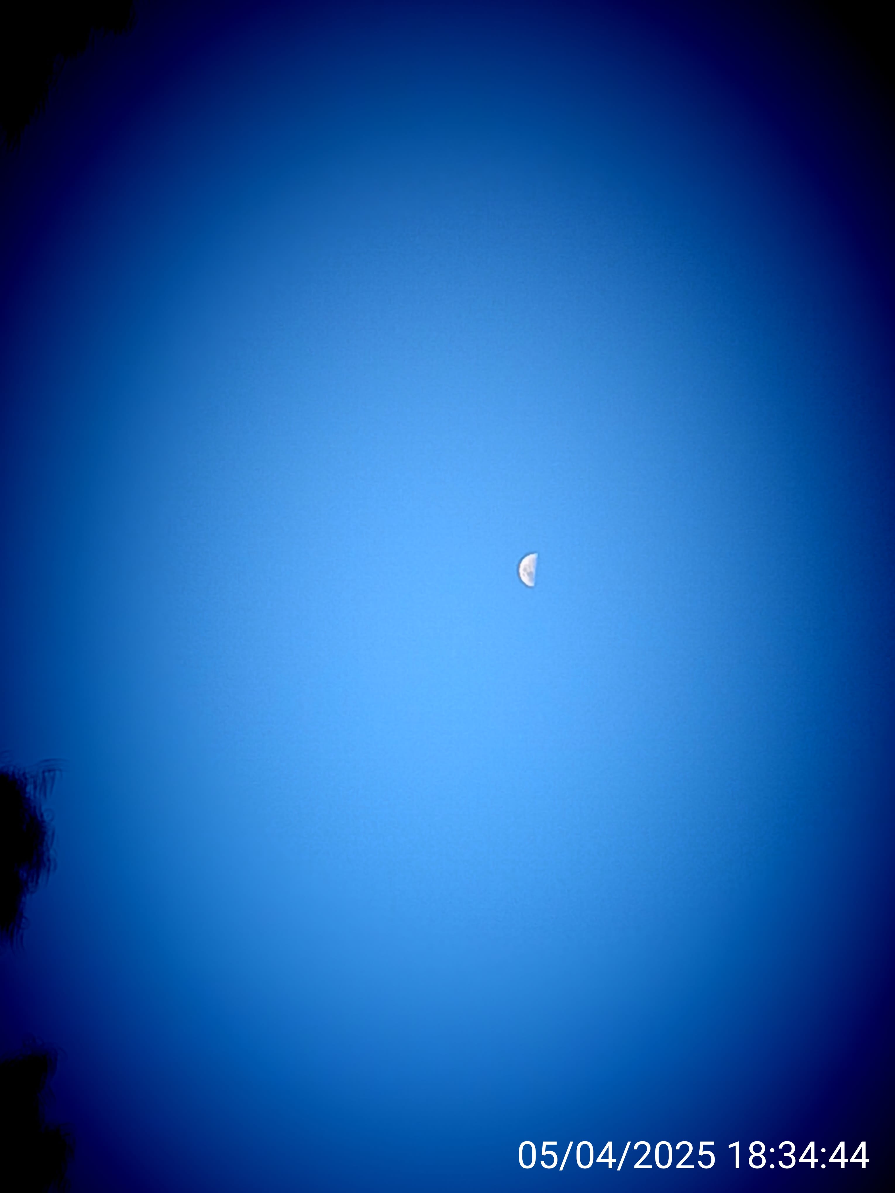 Bushland Bliss Retreat