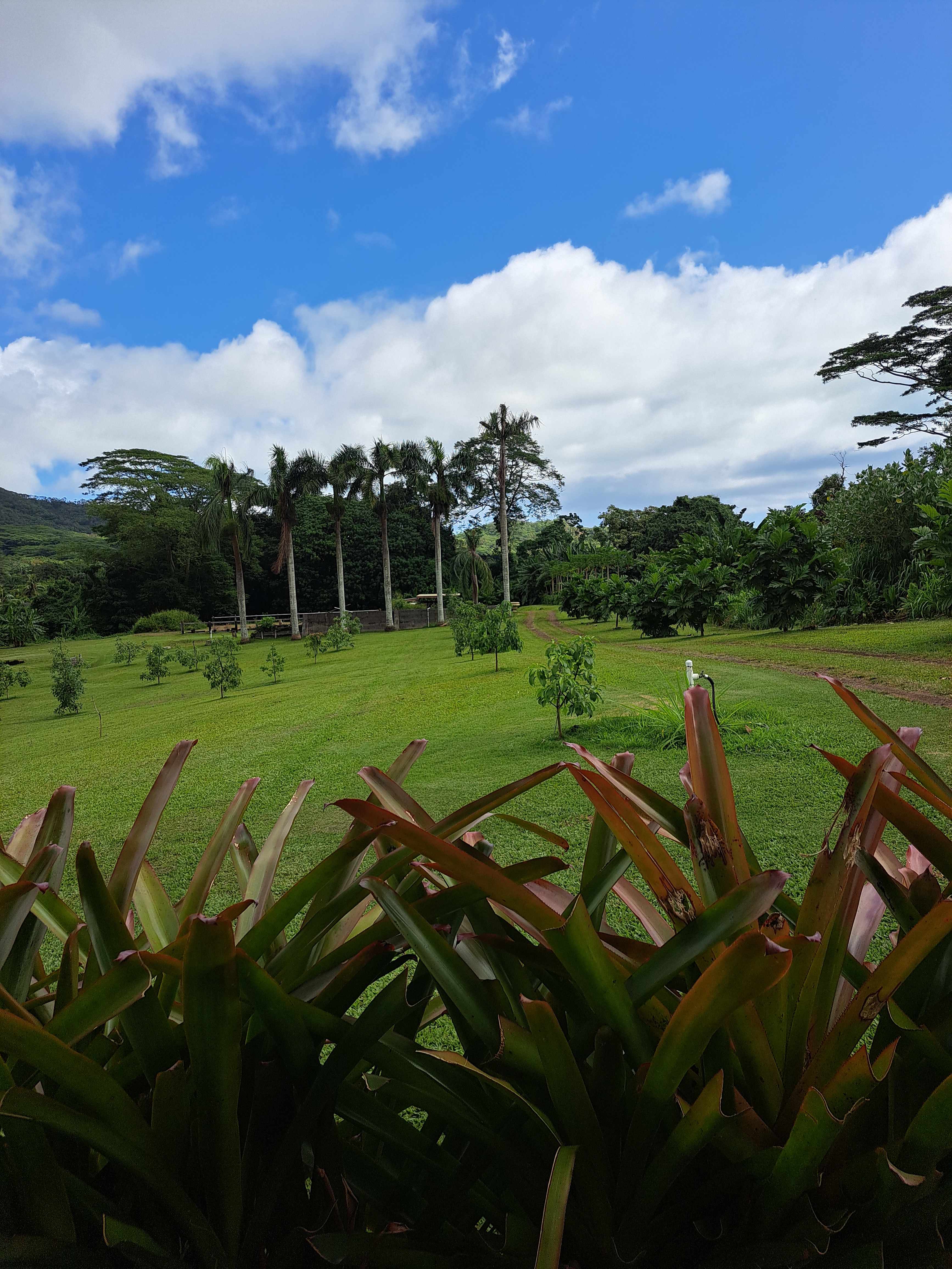 From patio