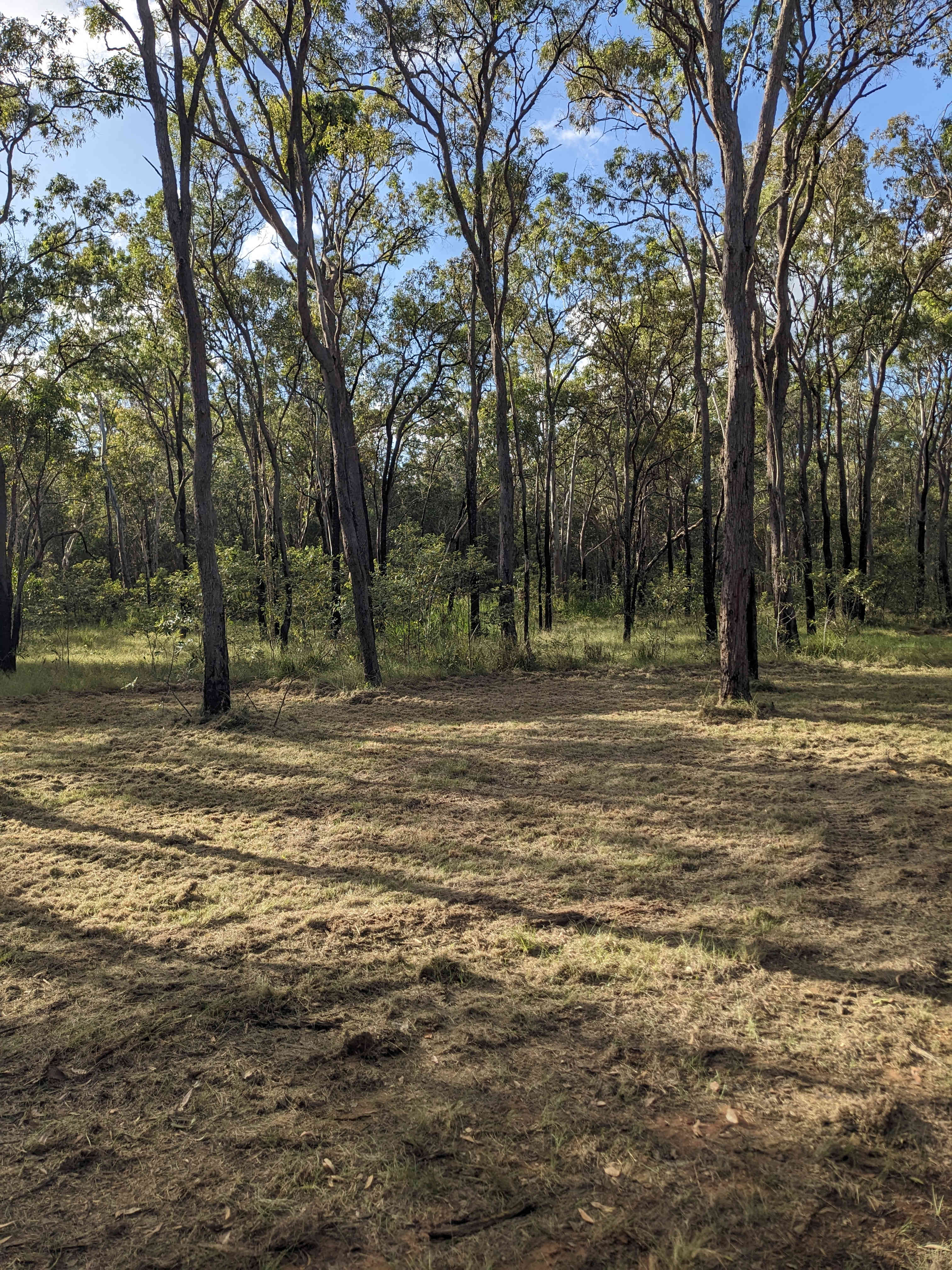 Woodlands Farmstay and Glamping
