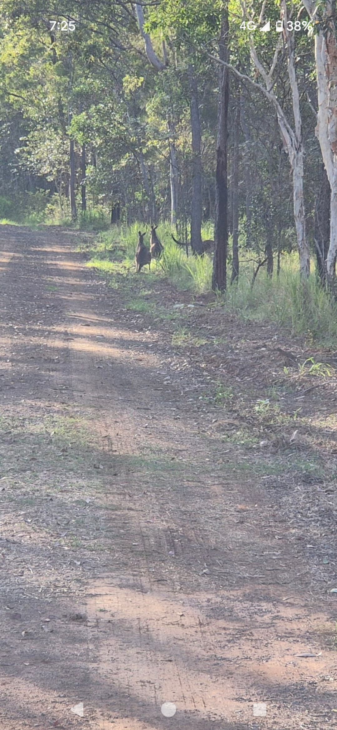 Woodlands Farmstay and Glamping