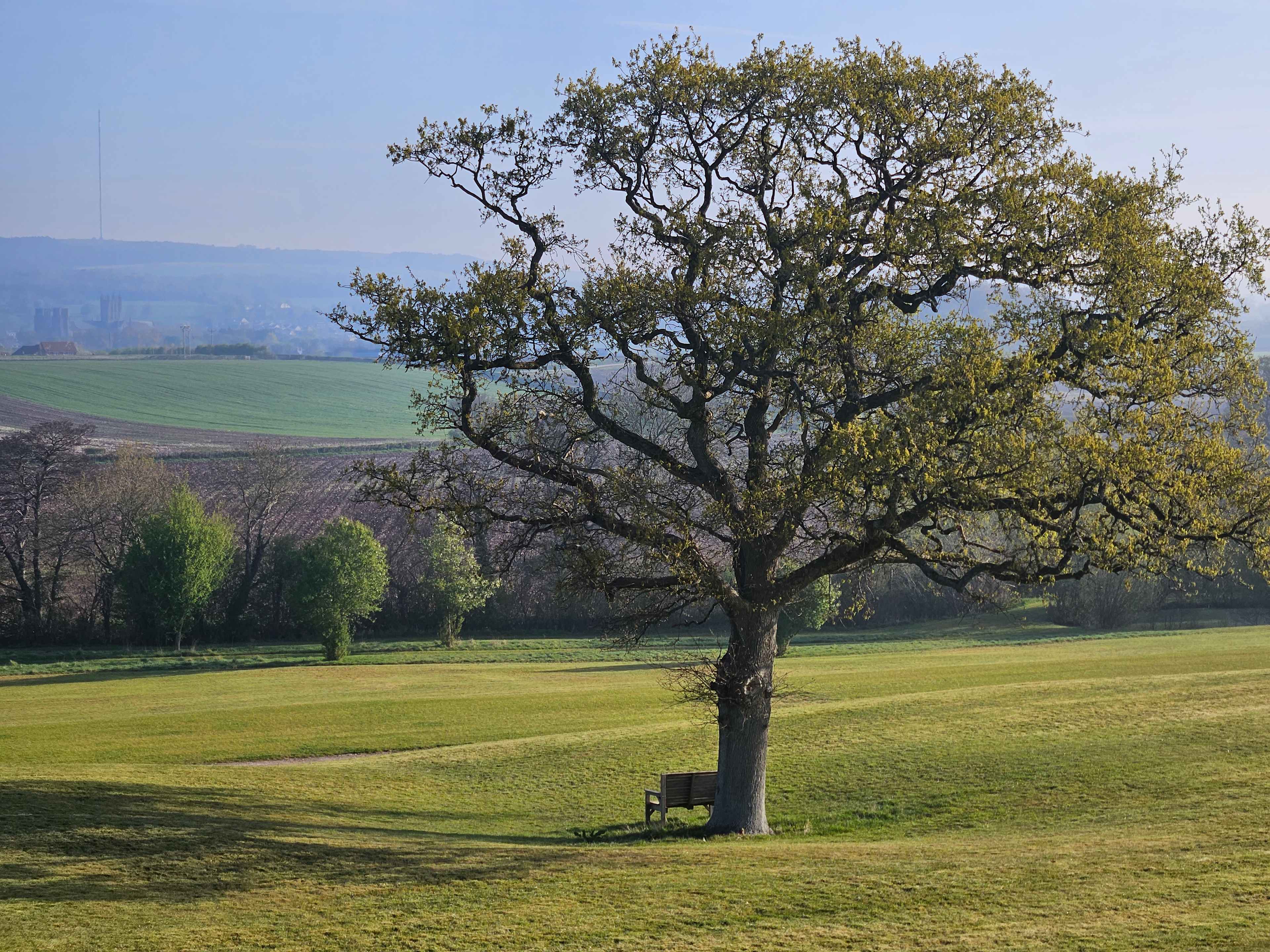 Woodford Farm