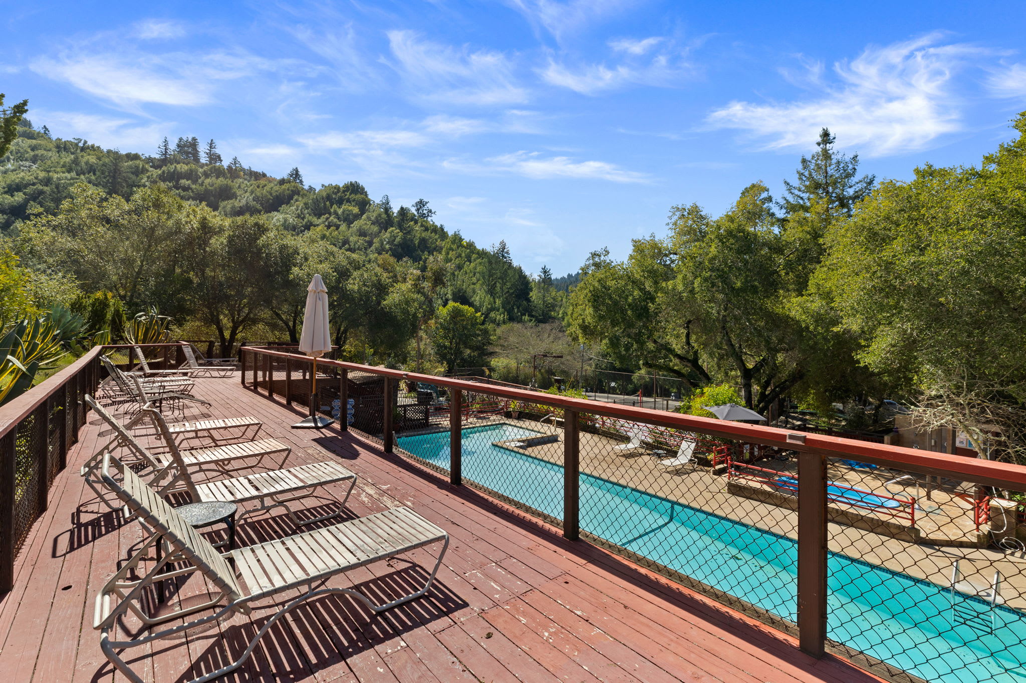 Lupin Lodge