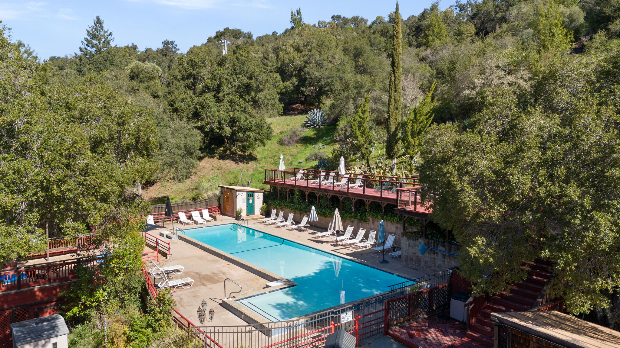 Lupin Lodge