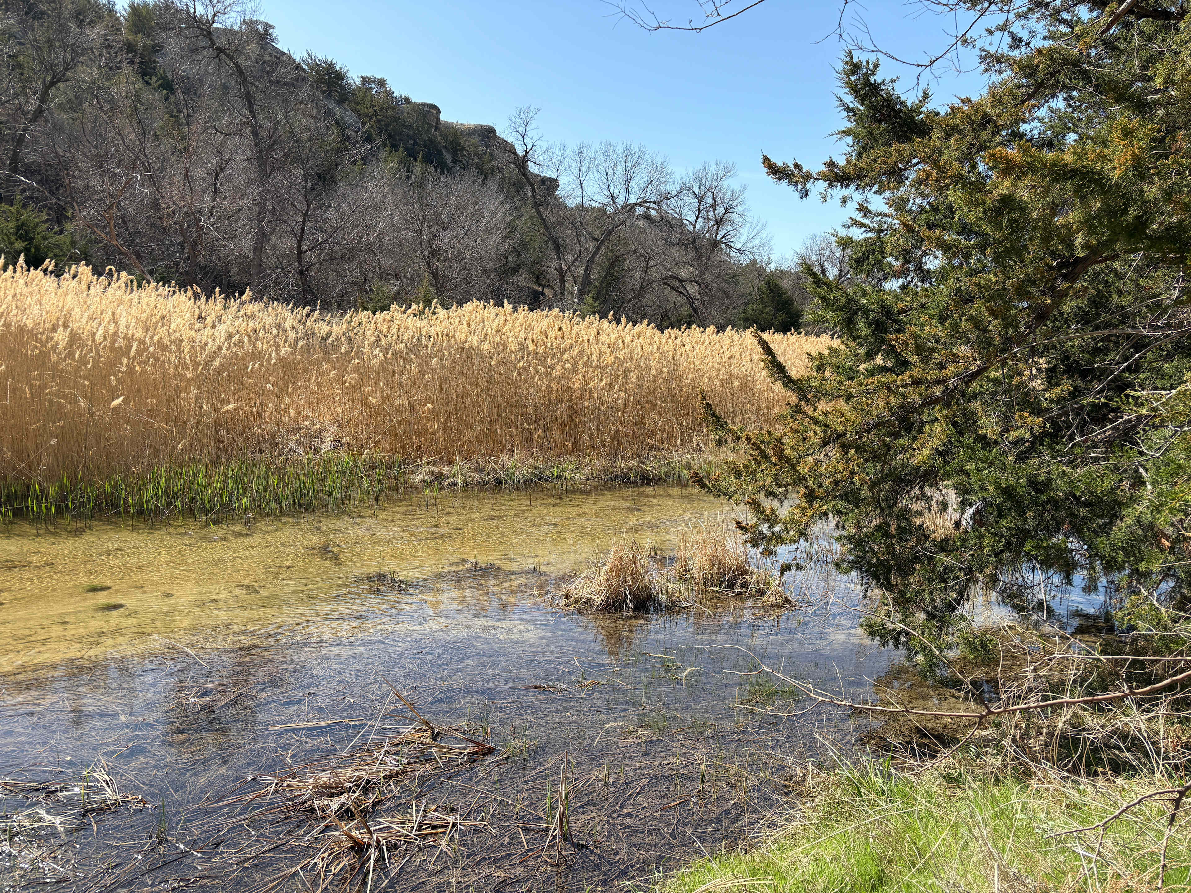 C2T Ranch on the Saline River