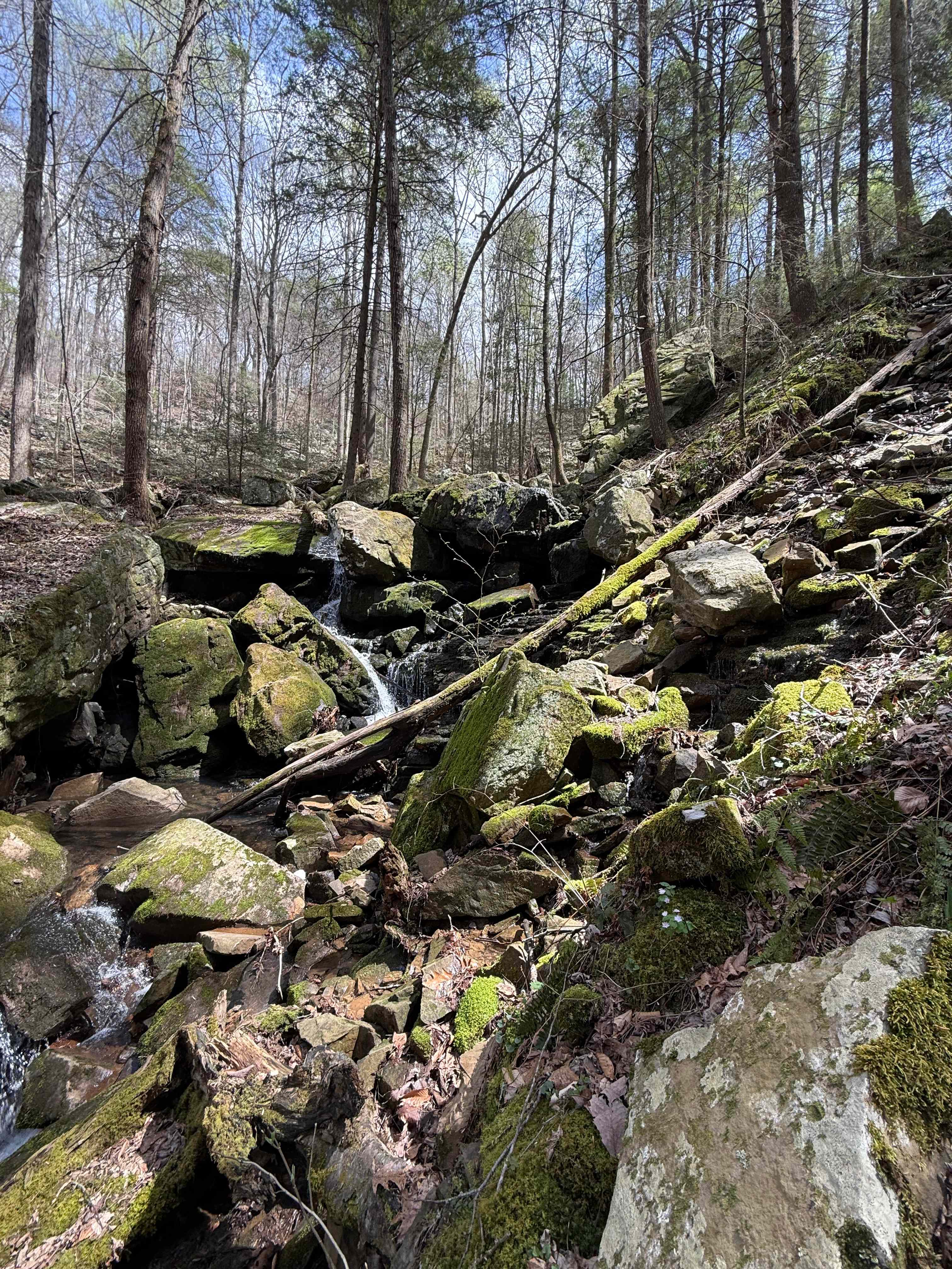 The Falls at Sewanee Creek