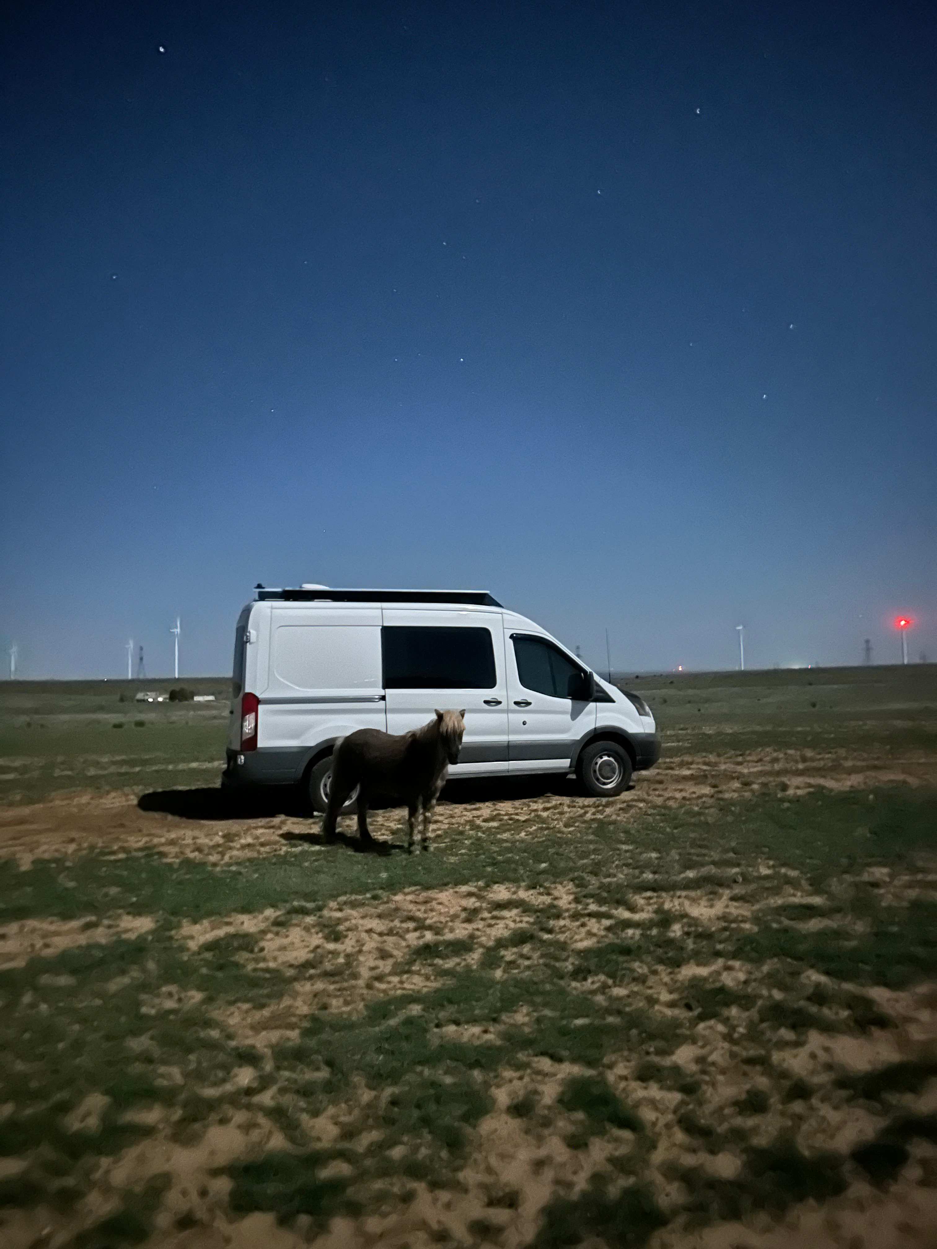 Coyote Breaks Farm