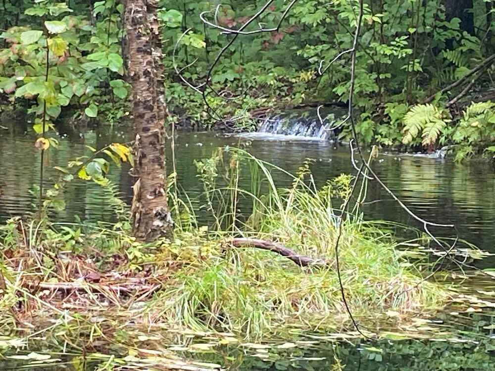 60 foot swimming pond with an island. It is stream fed from a spring. Very pure mountain water. The pond is located on the property near your spot.