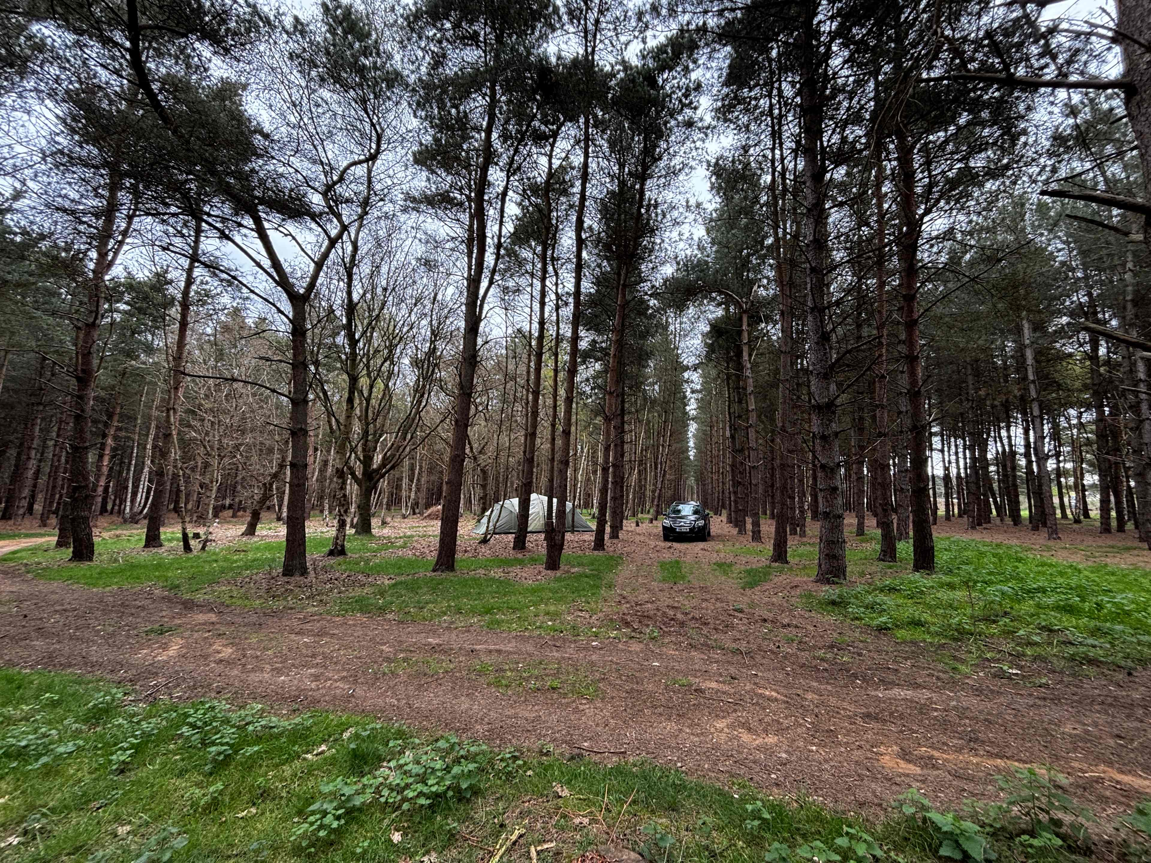 Holistic Woods Campsite WILD