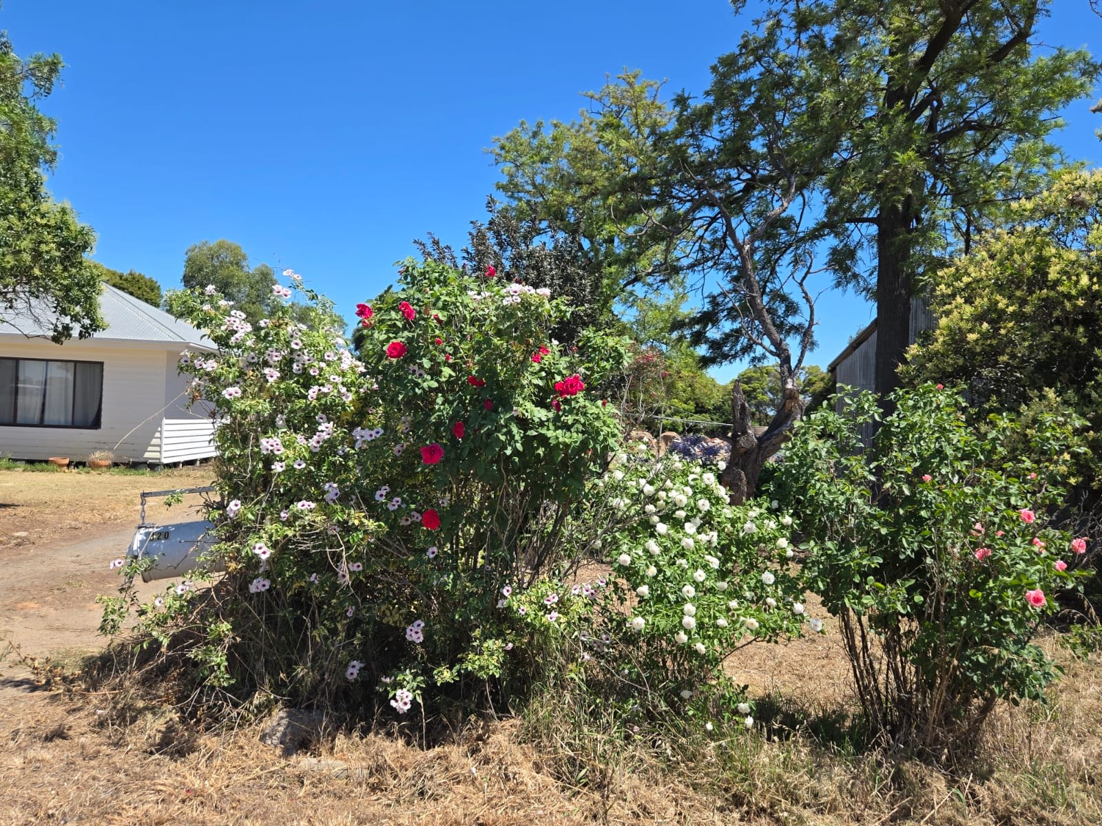 320 Country Escape