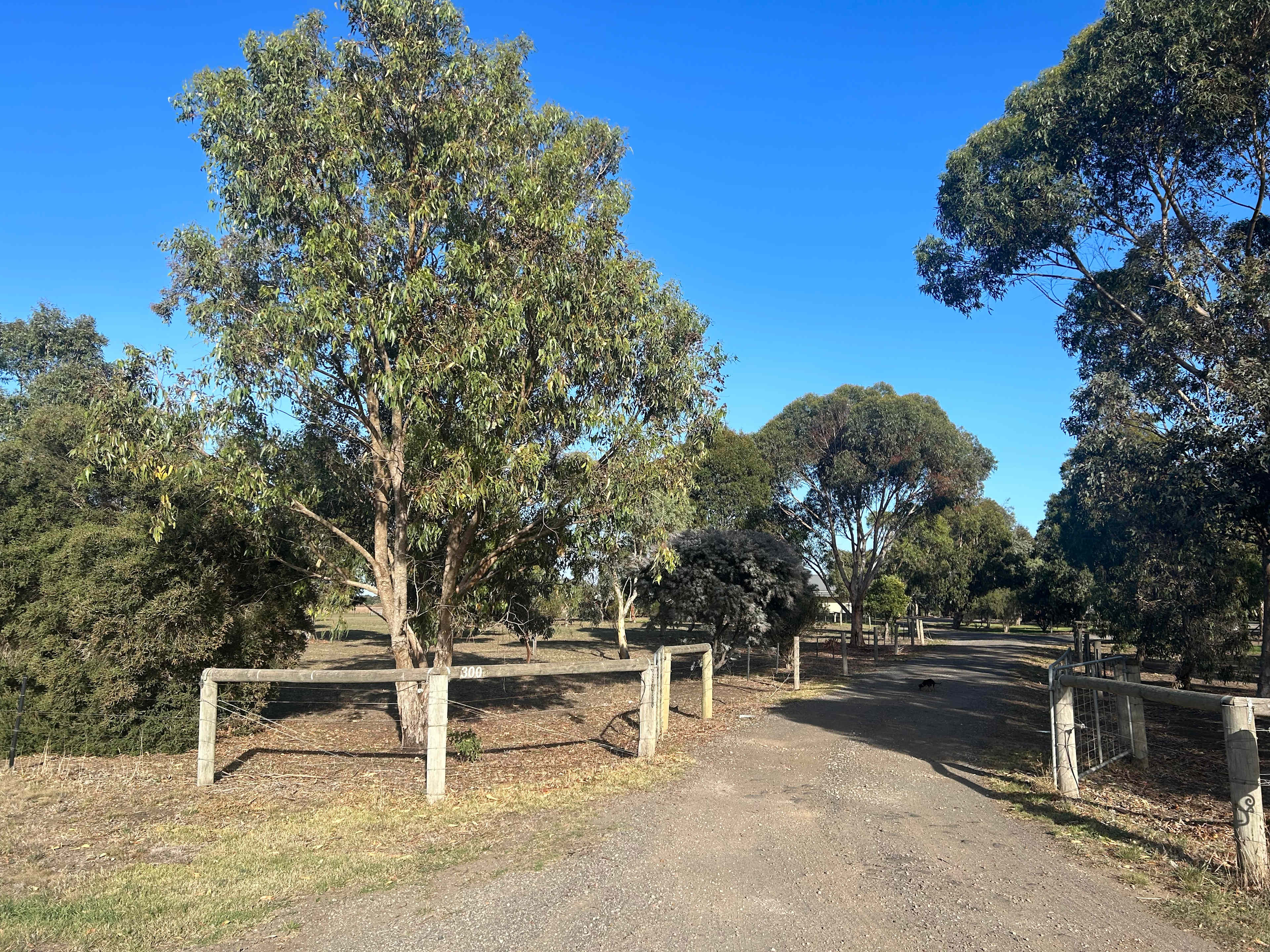 Reedy lakes farm stay