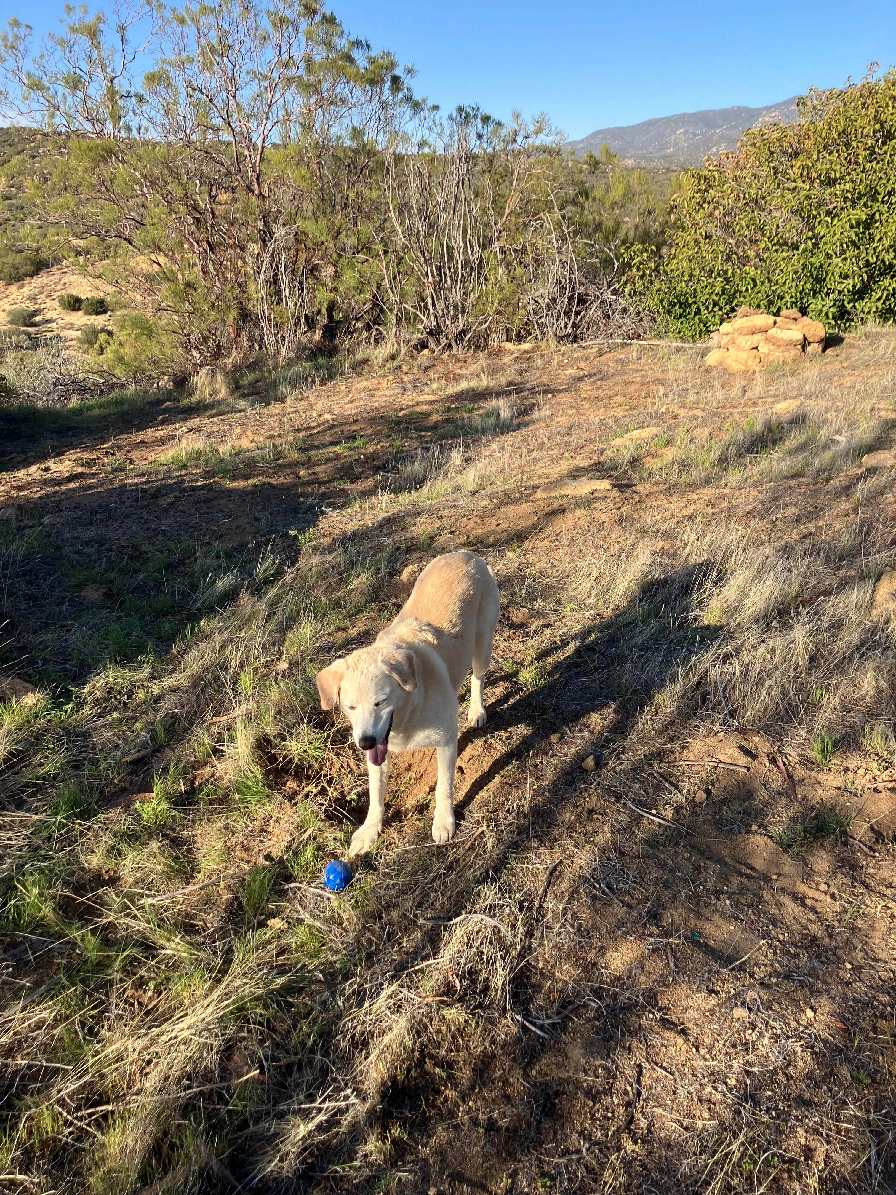 Section B Ranch