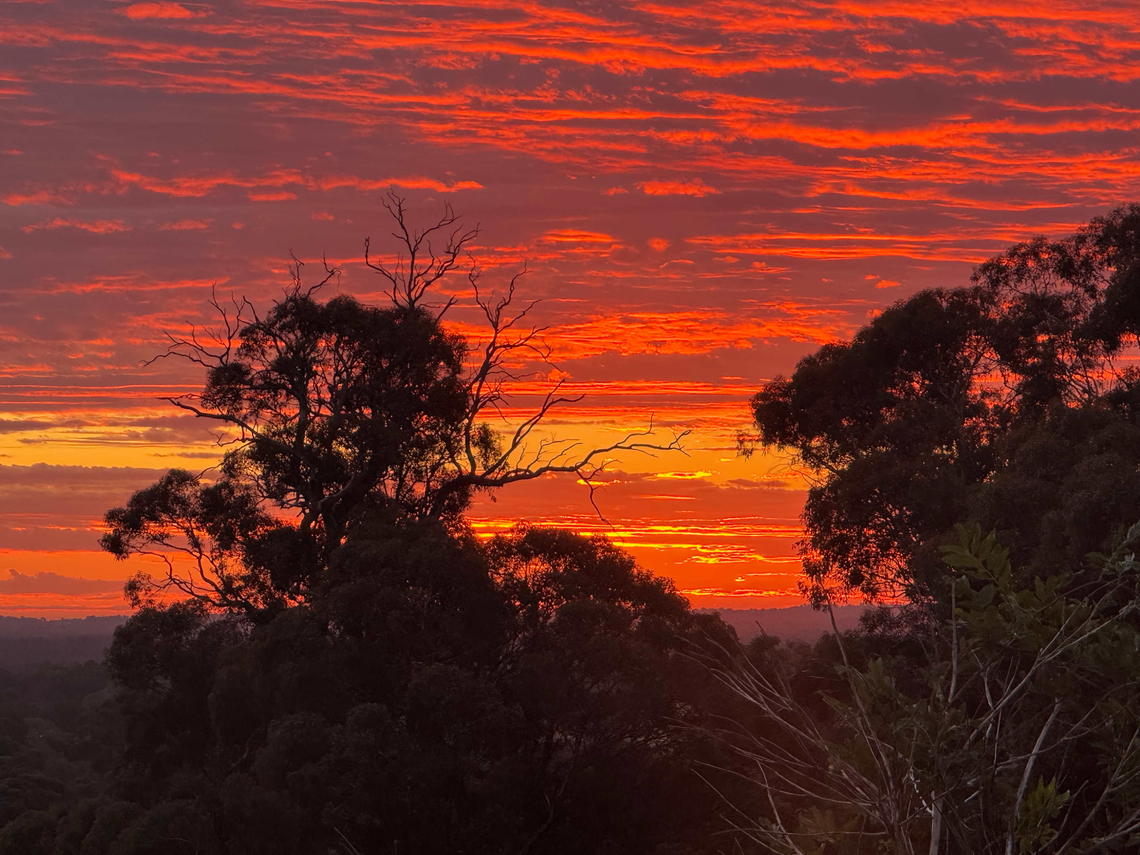 Yarrabah High Country- Jarrahdale