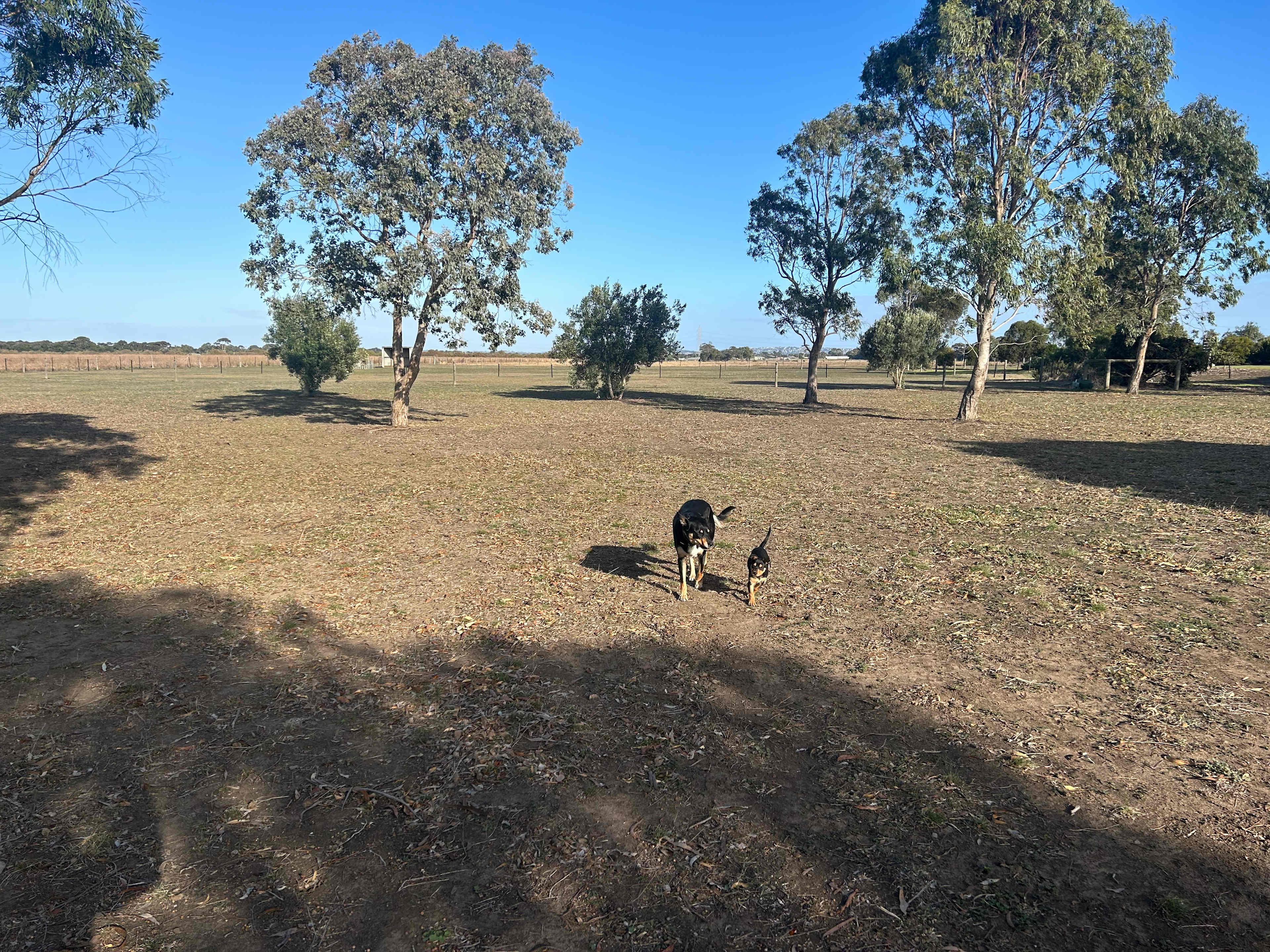 Reedy lakes farm stay