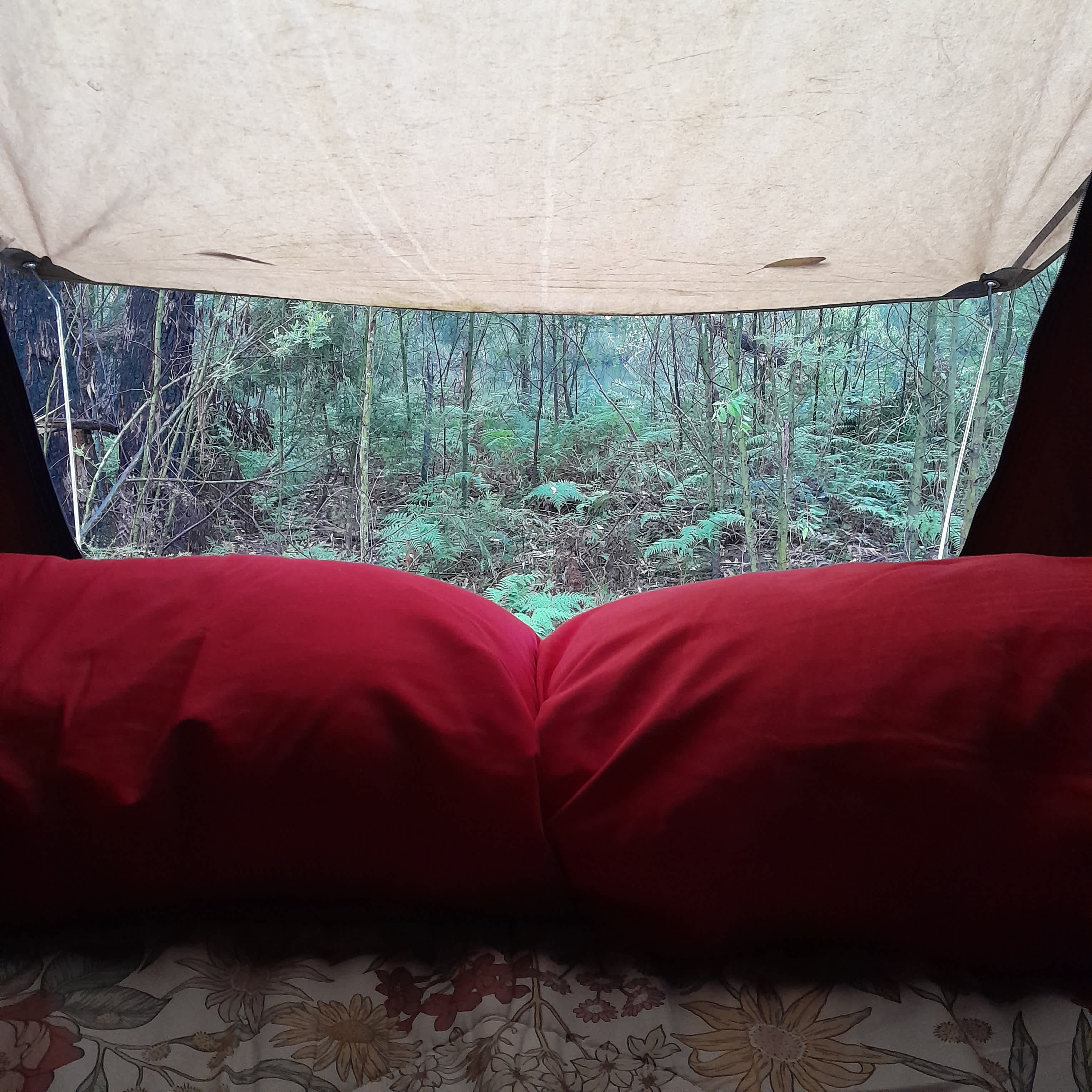 Babbling Brook 4WD Camping