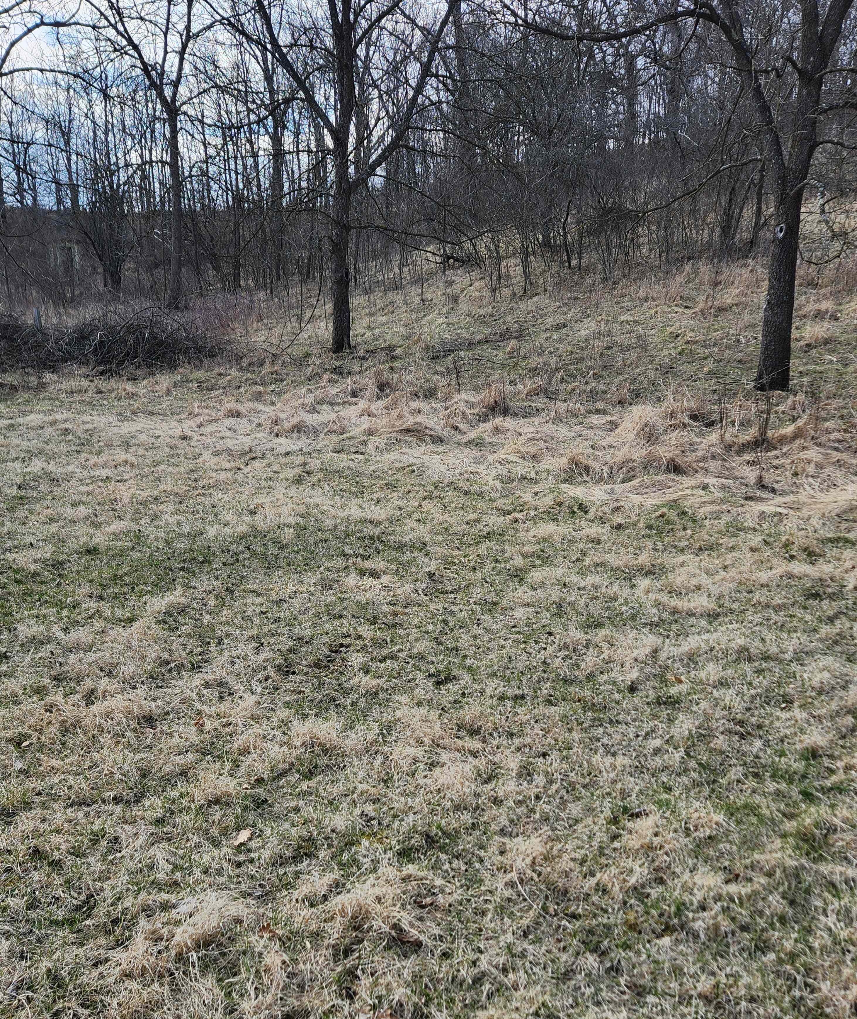 This is the site. Two tents possible. We are adding a fire-it and picnic table by May 15. More photos at that time.