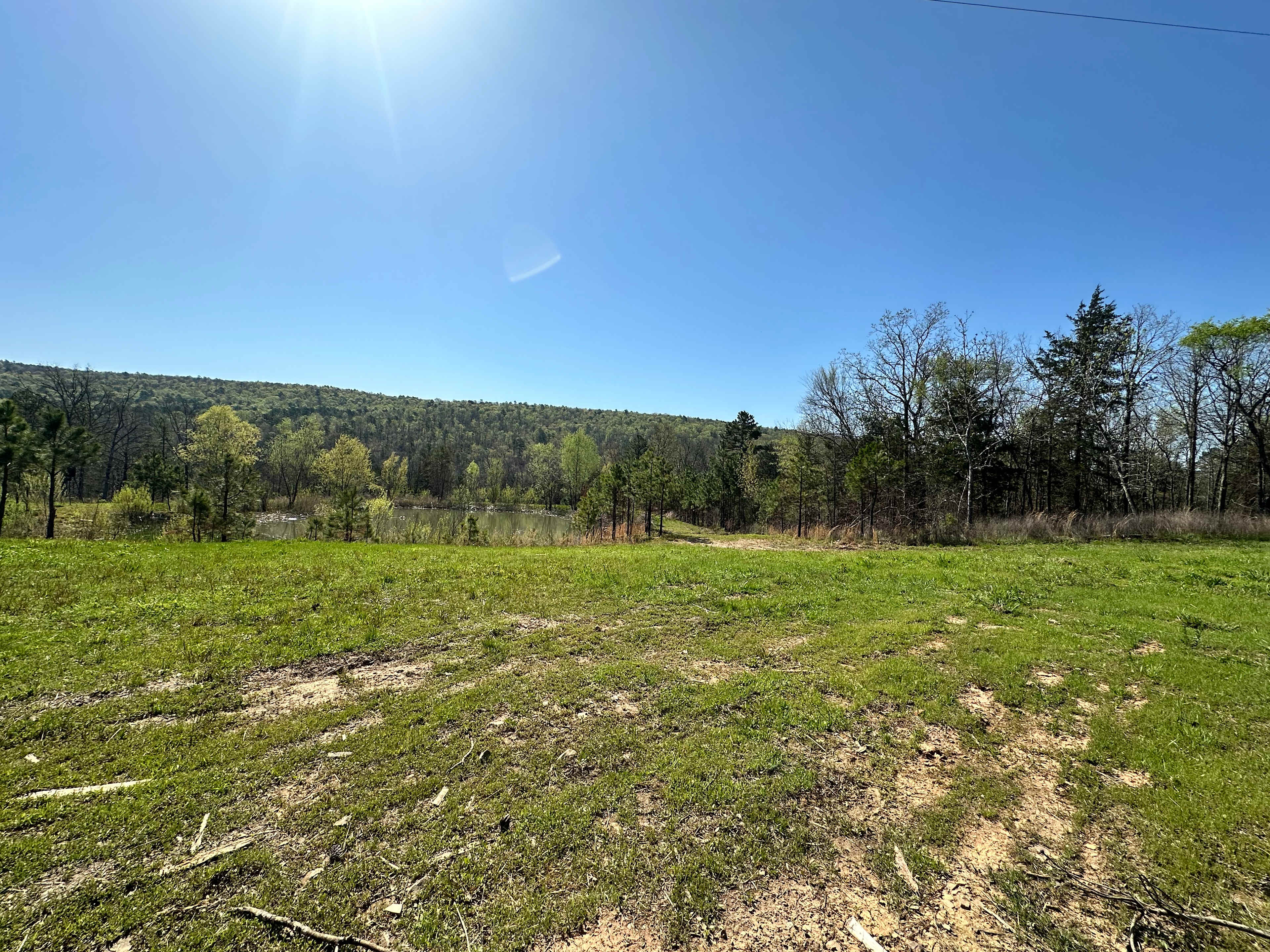 Buffalo Tree Ranch