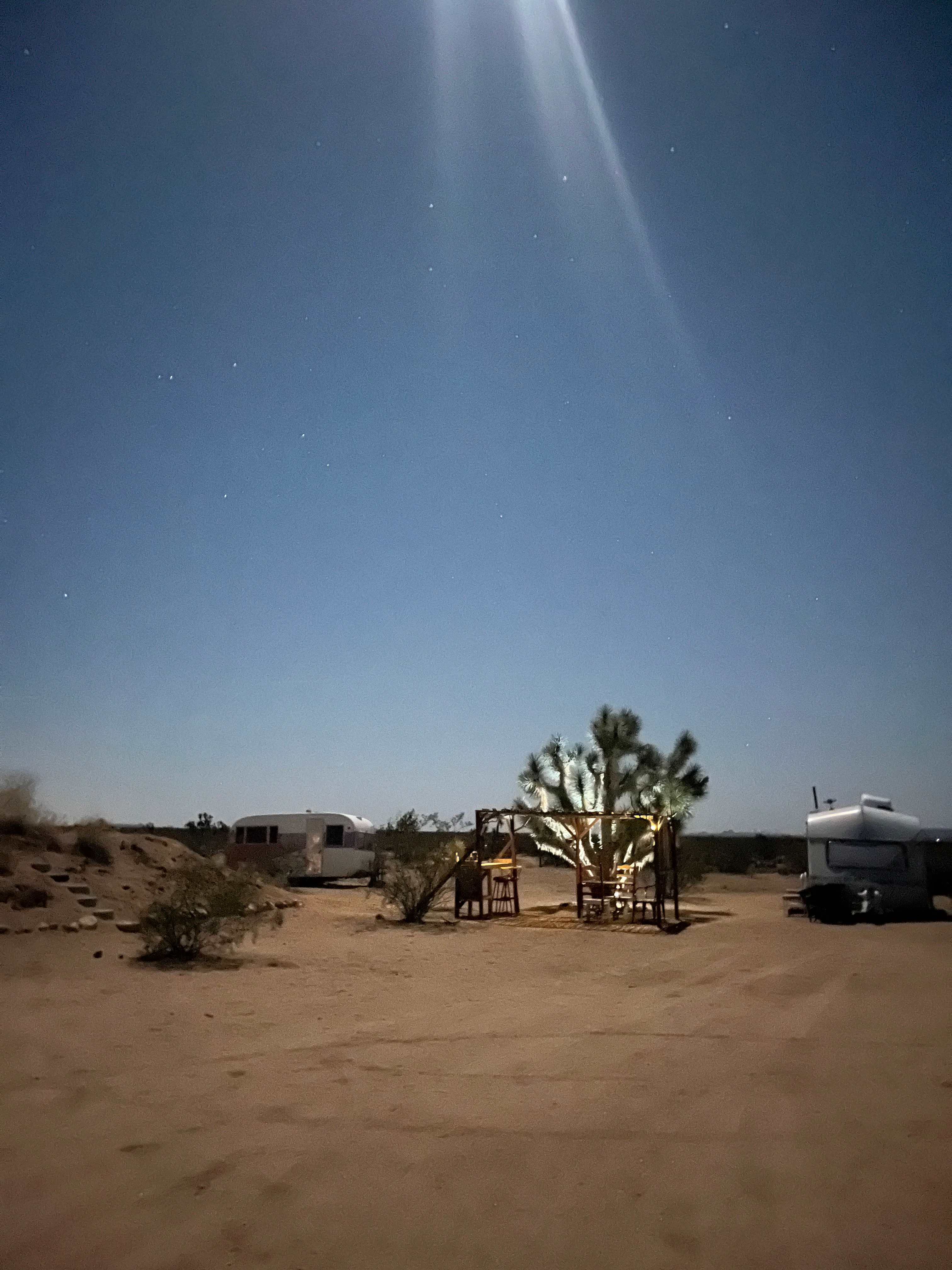 Mojave moon magic