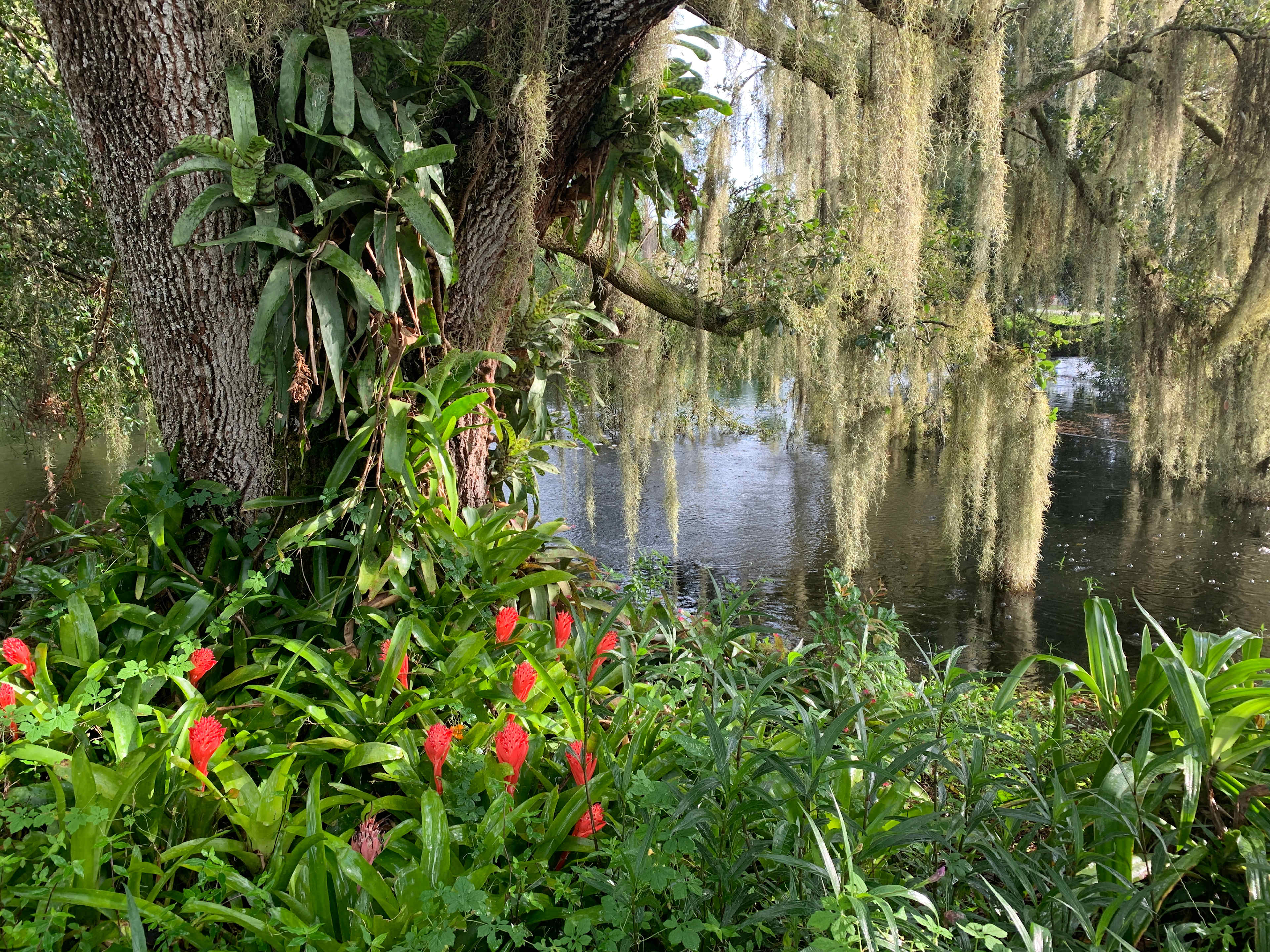 Magical Pond On Flitterbug Farm