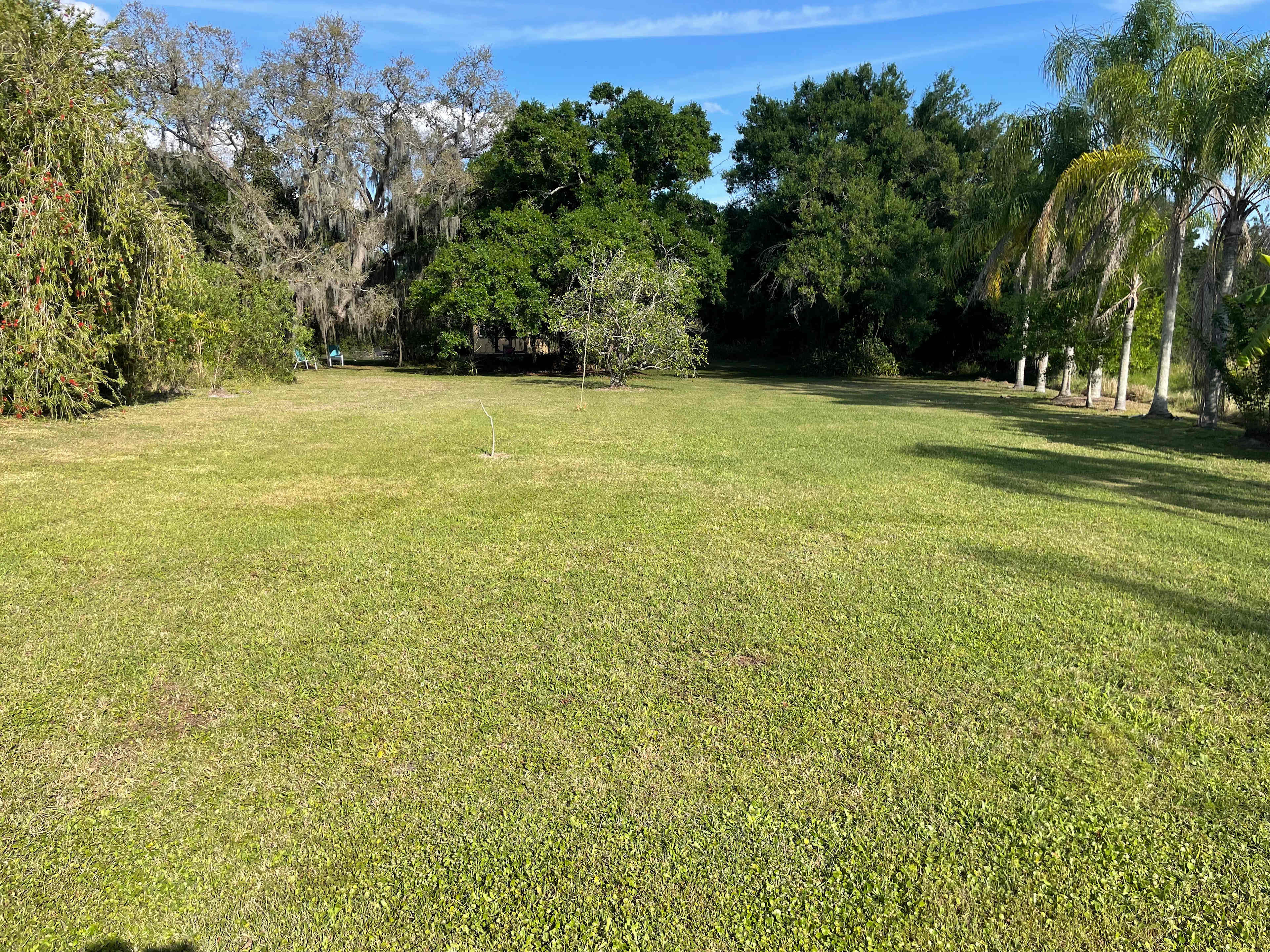 Magical Pond On Flitterbug Farm