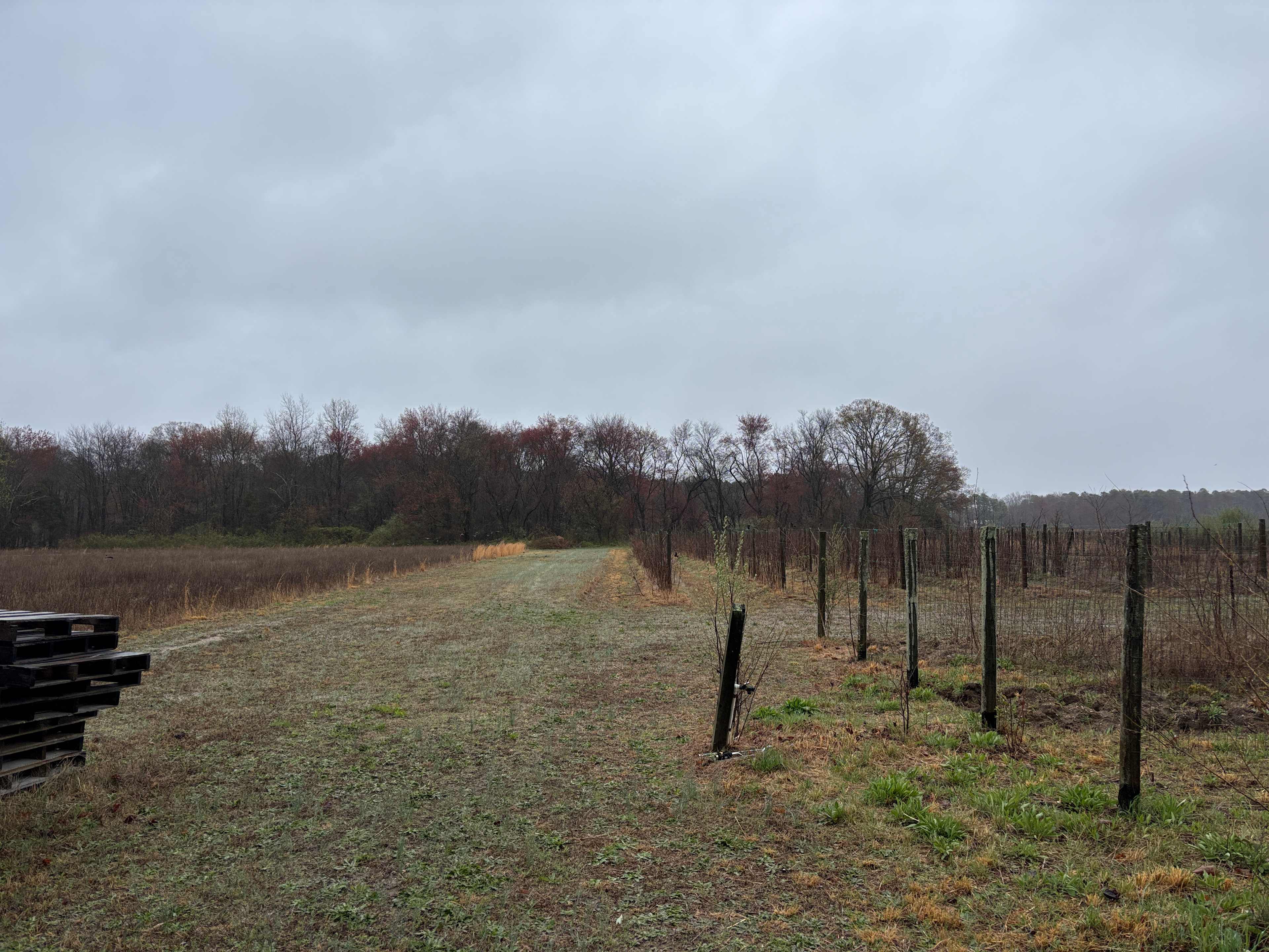Double Dog Farm