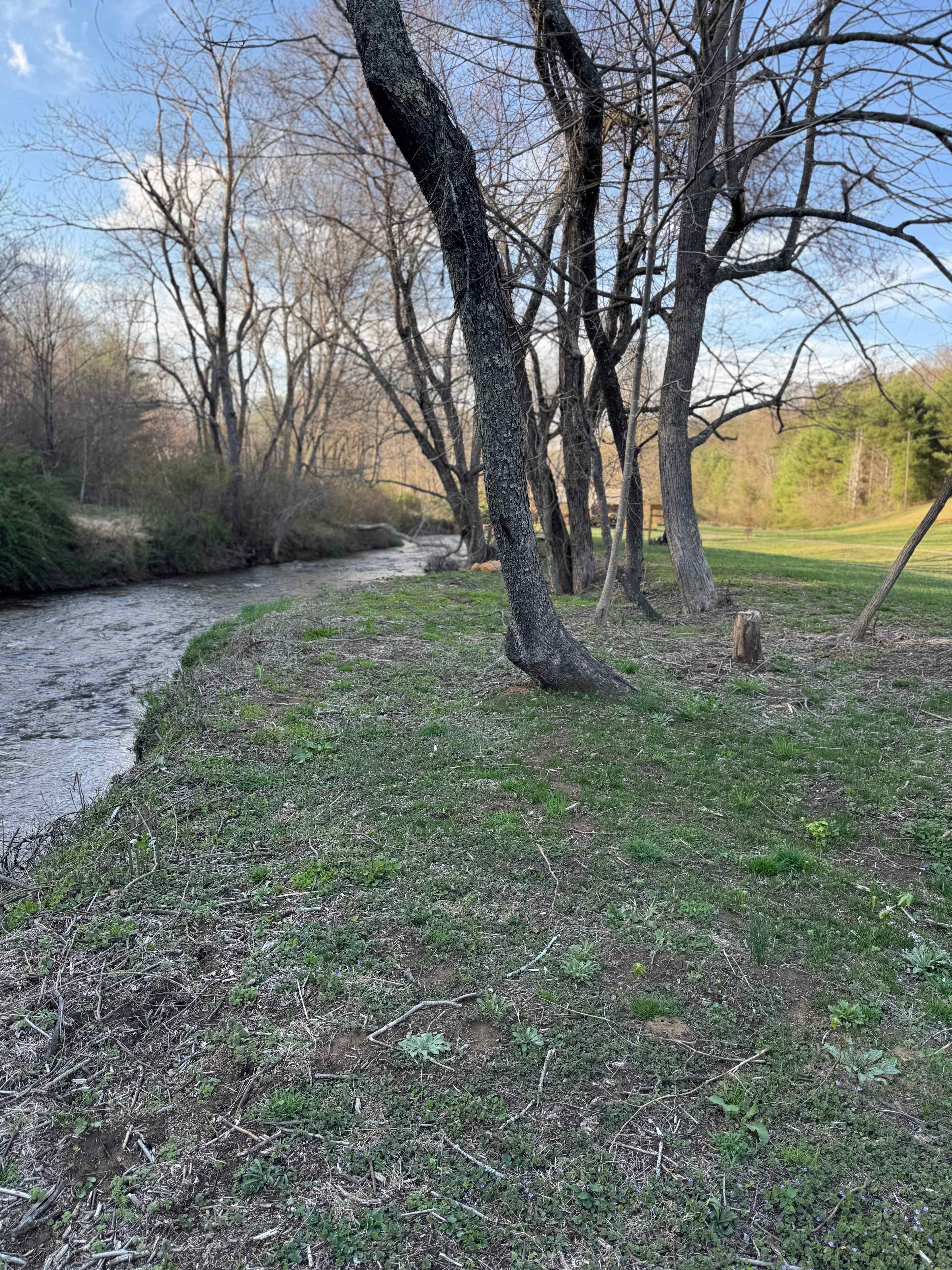 Creekside campsites