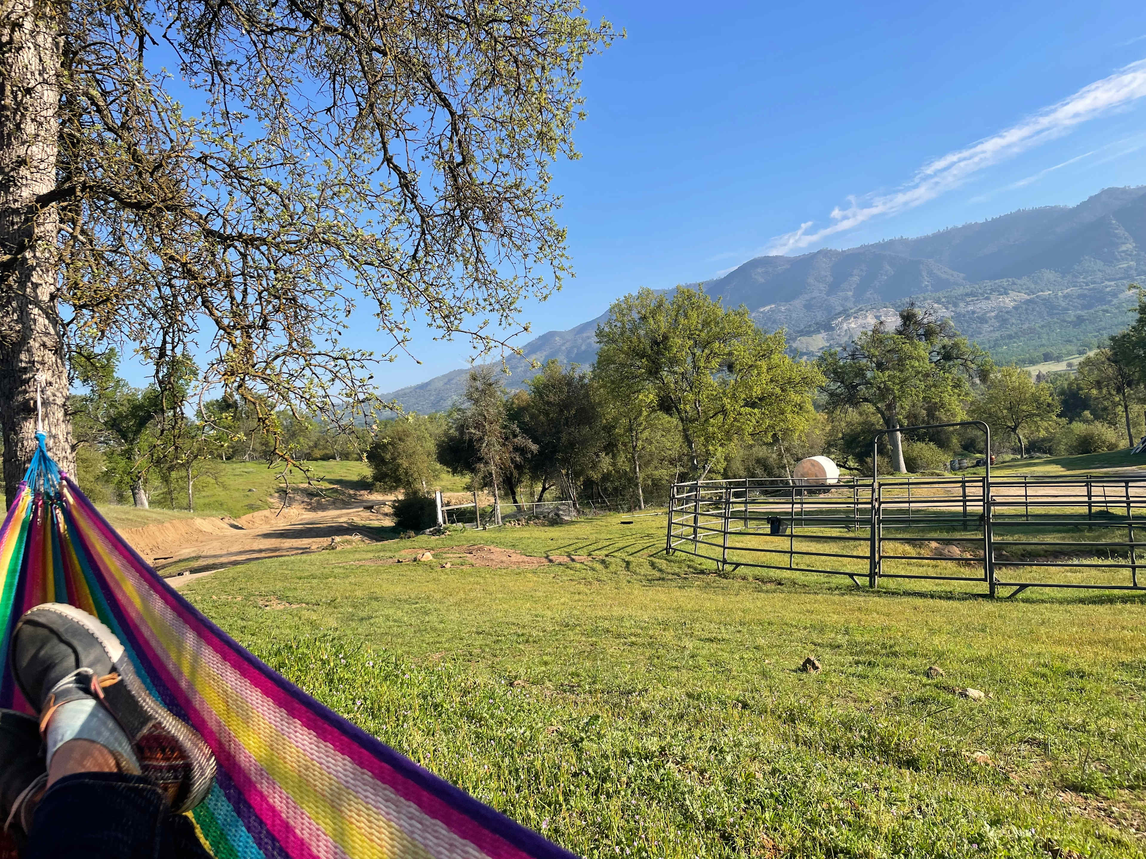 View from the hammock 