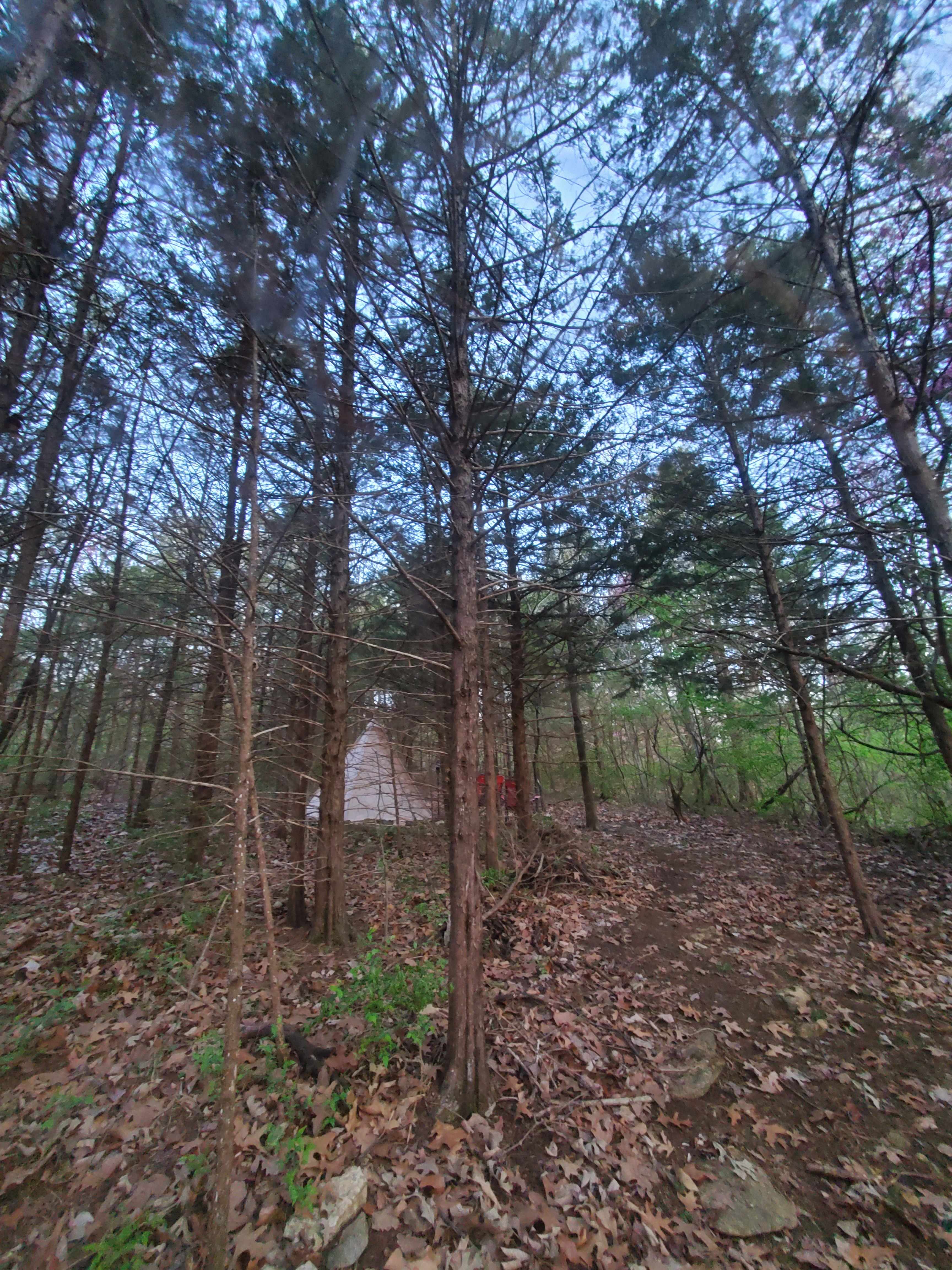 Inntirety Forest Healing Center