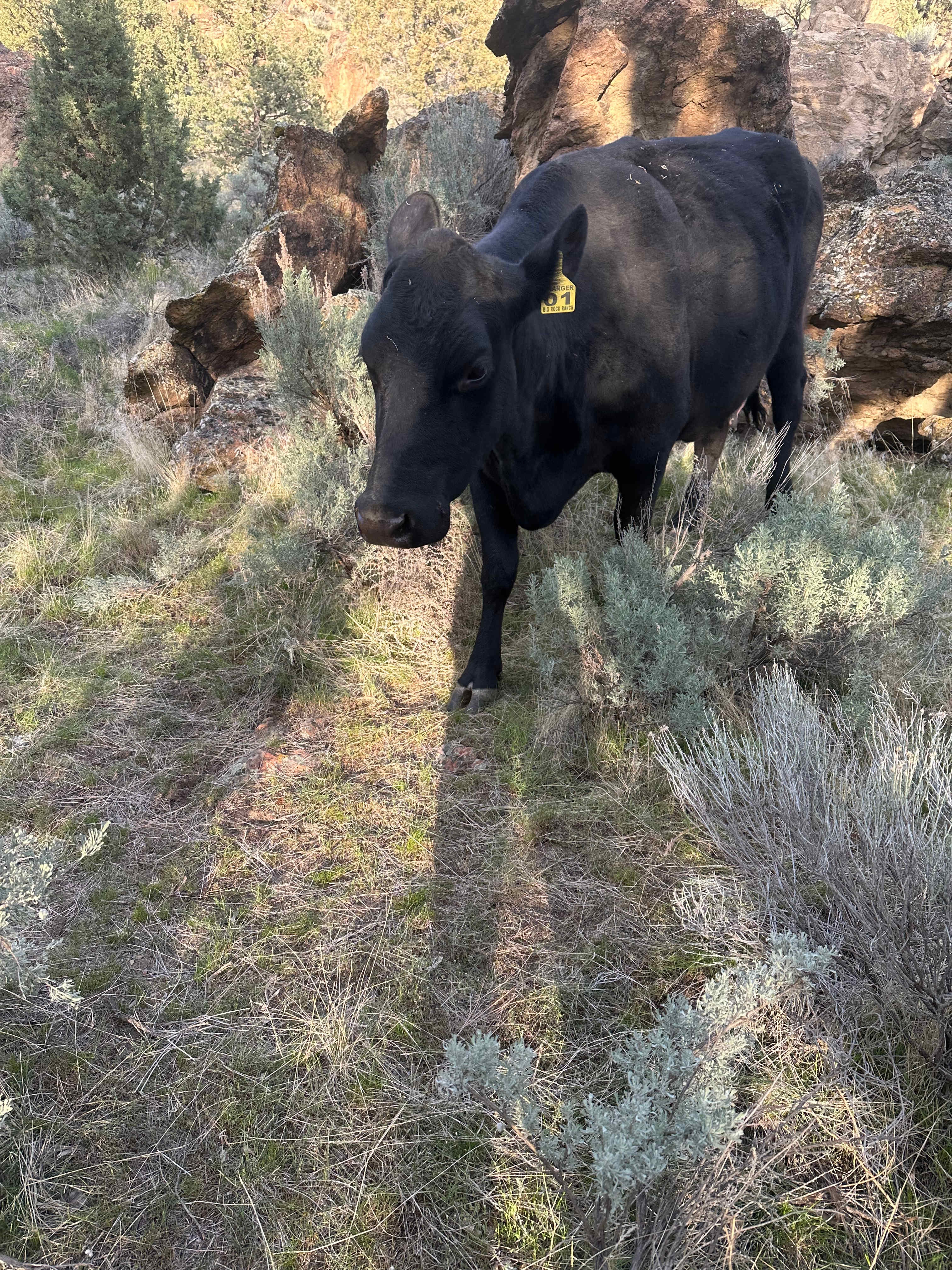 Big Rock Ranch
